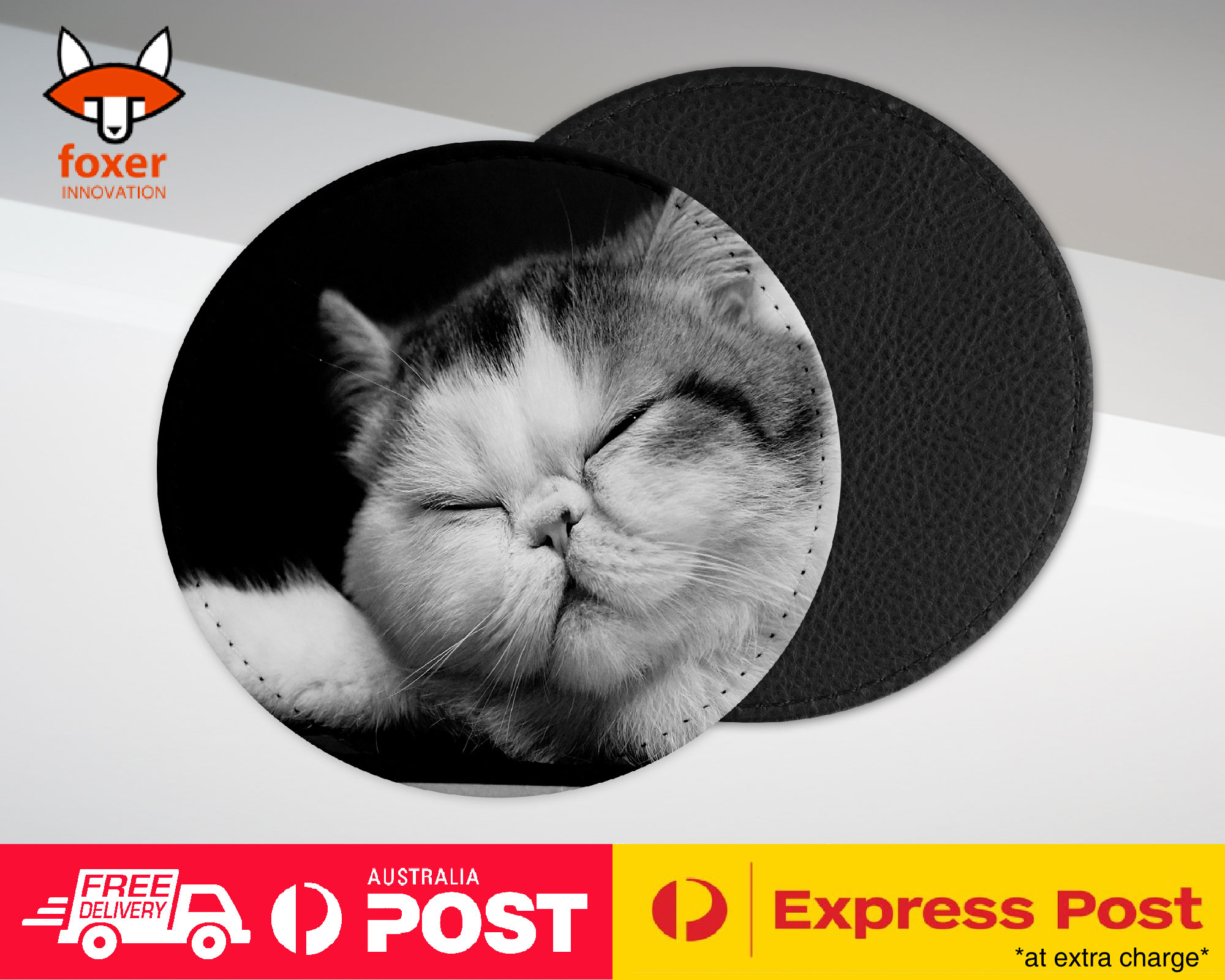 COASTER COFFEE DRINKING MAT|EXOTIC SHORTHAIR CAT 1