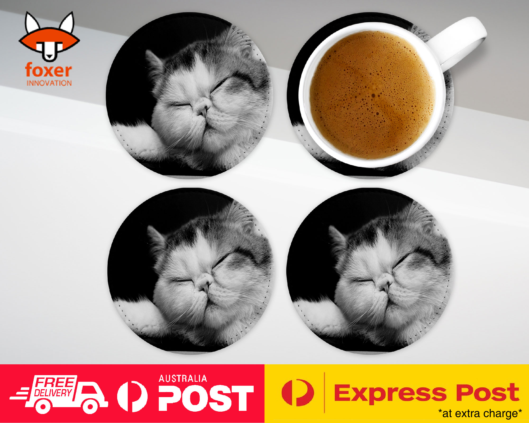 COASTER COFFEE DRINKING MAT|EXOTIC SHORTHAIR CAT 1