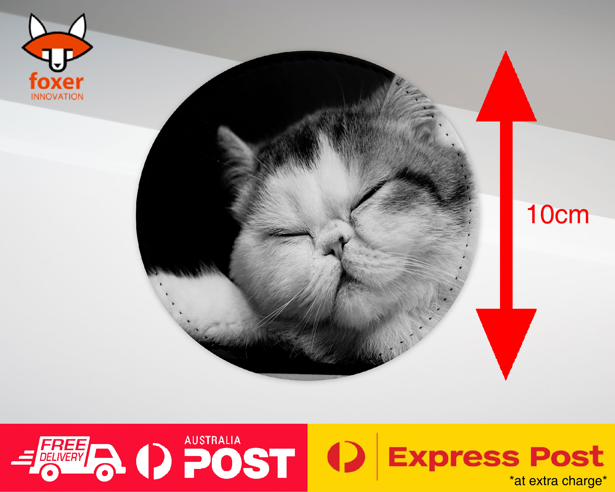 COASTER COFFEE DRINKING MAT|EXOTIC SHORTHAIR CAT 1