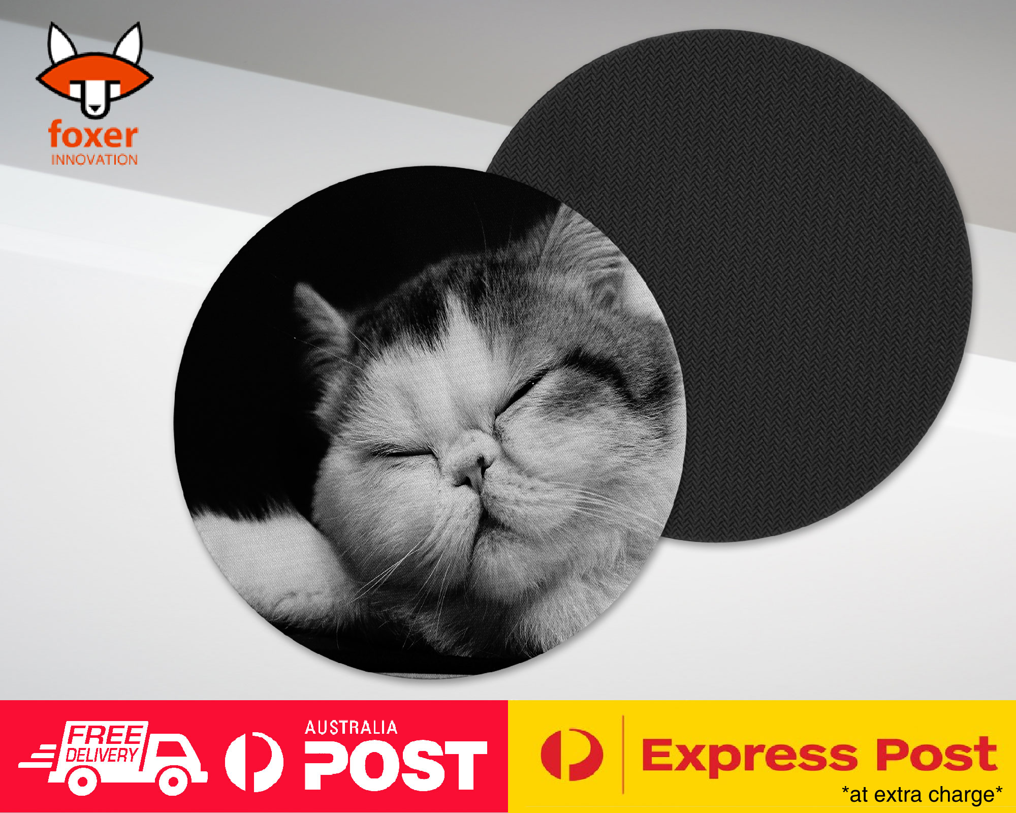 COASTER COFFEE DRINKING MAT|EXOTIC SHORTHAIR CAT 1