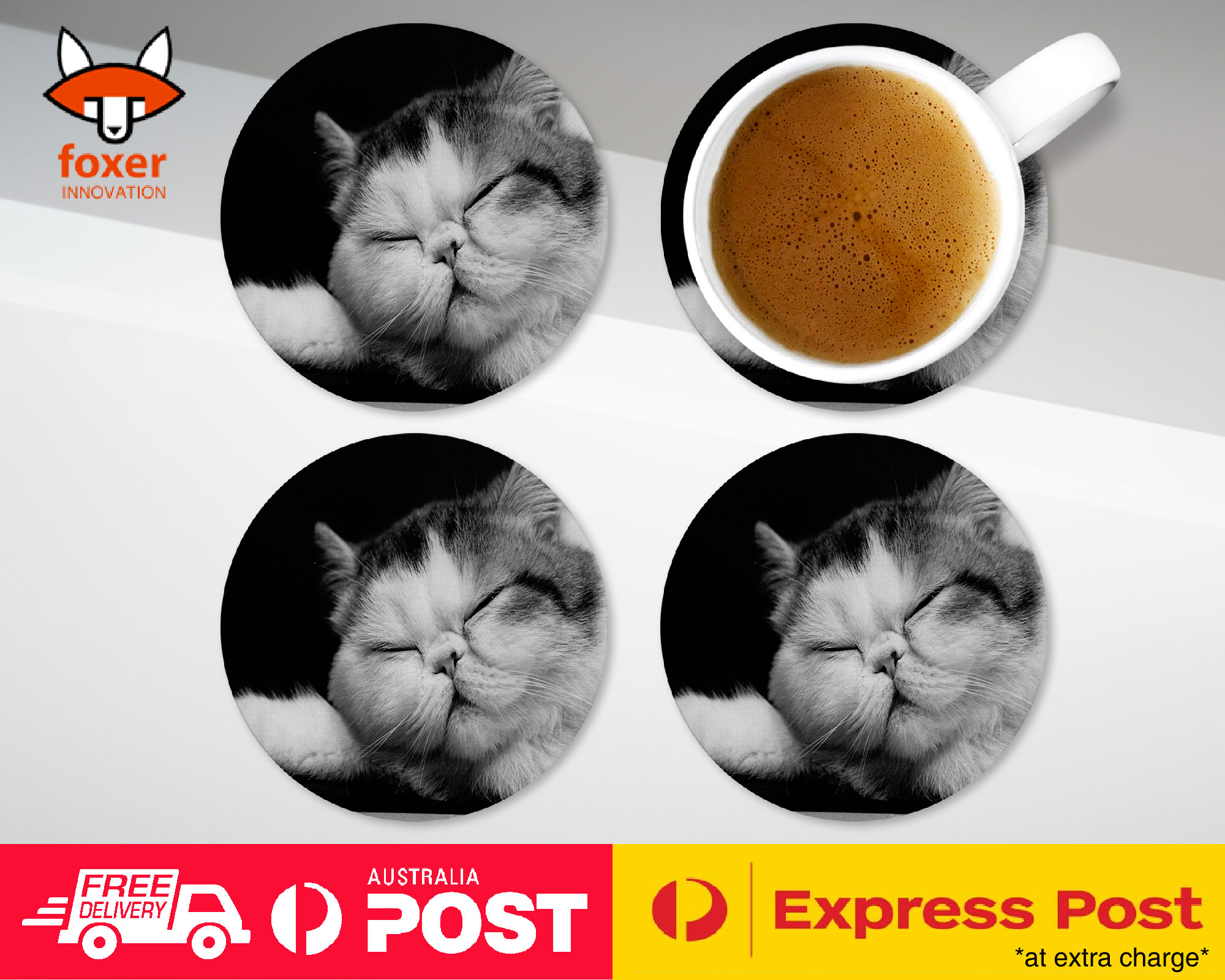 COASTER COFFEE DRINKING MAT|EXOTIC SHORTHAIR CAT 1