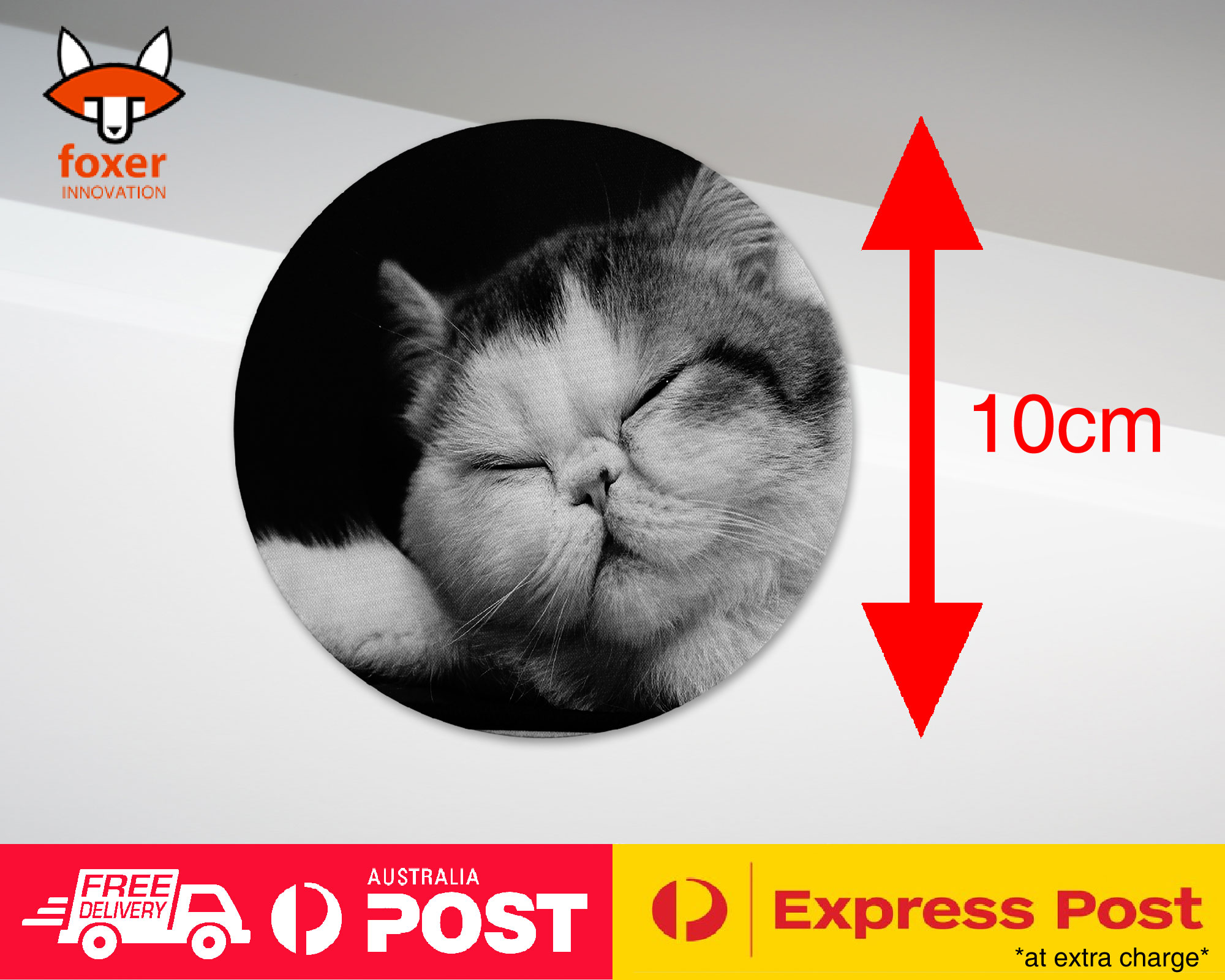 COASTER COFFEE DRINKING MAT|EXOTIC SHORTHAIR CAT 1