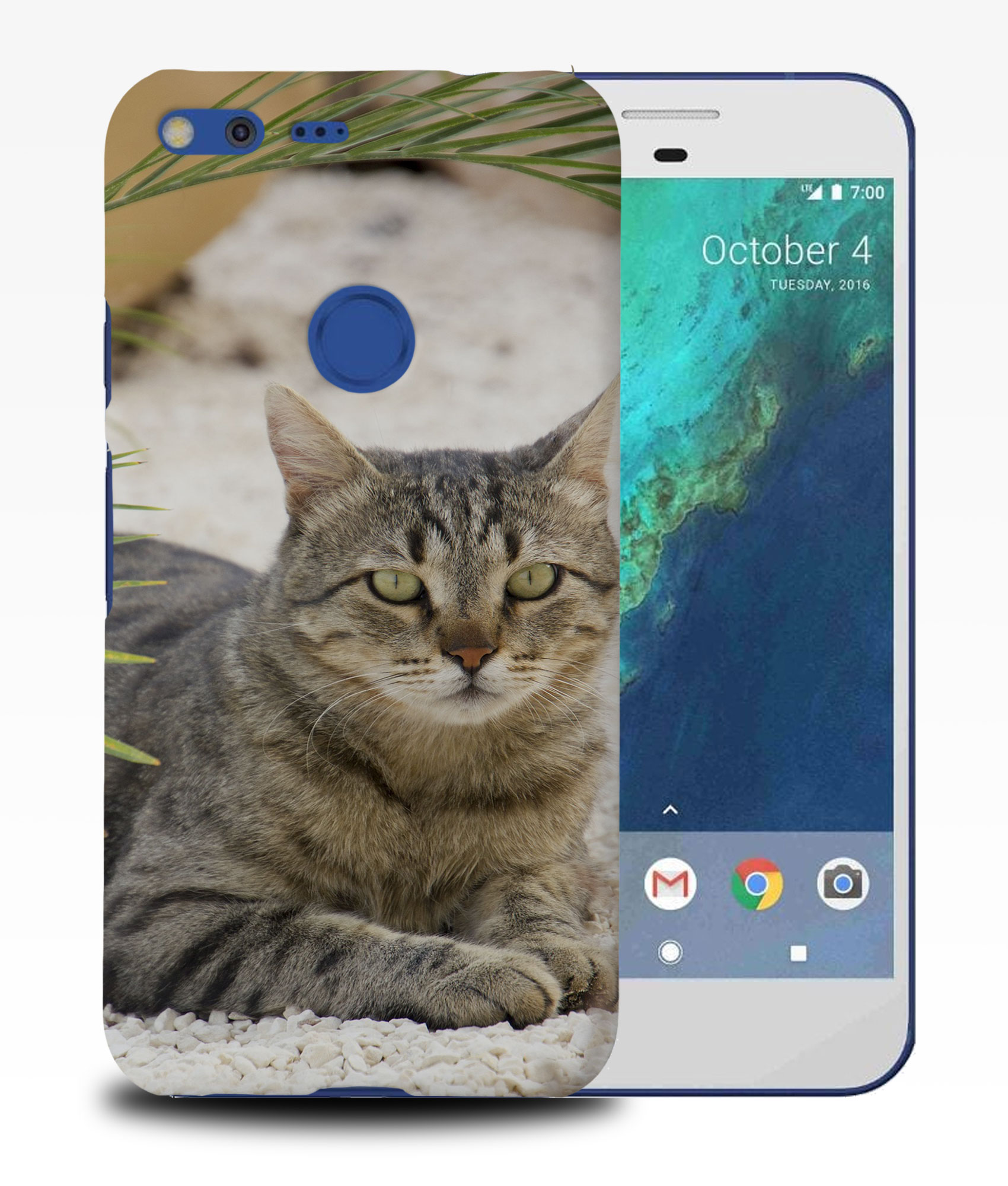 CASE COVER FOR GOOGLE PIXEL|KITTEN CAT 27 - Picture 10 of 11