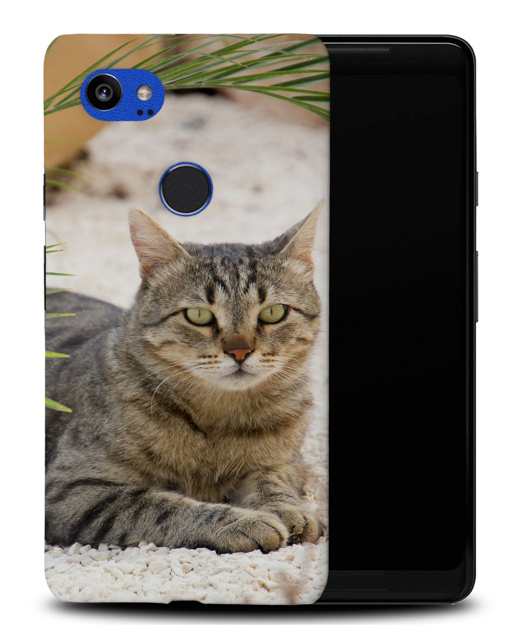 CASE COVER FOR GOOGLE PIXEL|KITTEN CAT 27 - Picture 8 of 11