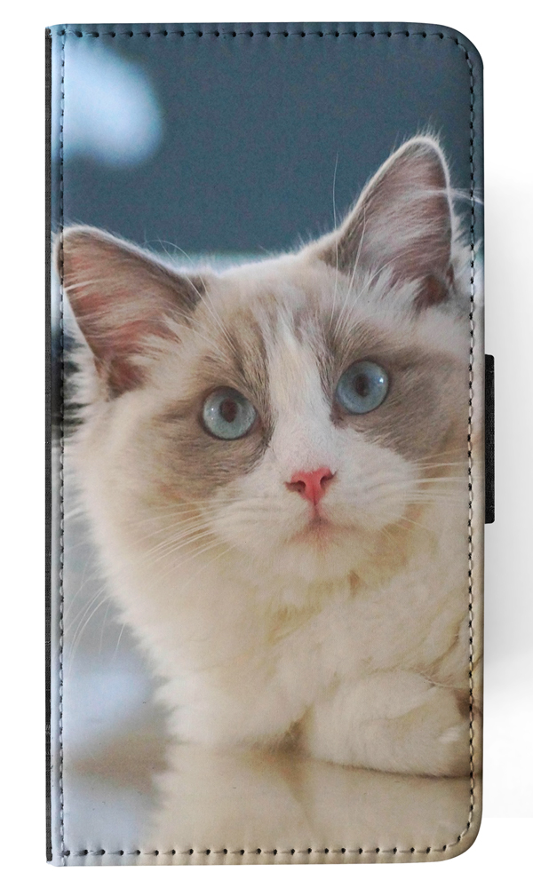 FLIP CASE FOR APPLE IPHONE|RAGDOLL CAT 6 - Bild 95 von 193