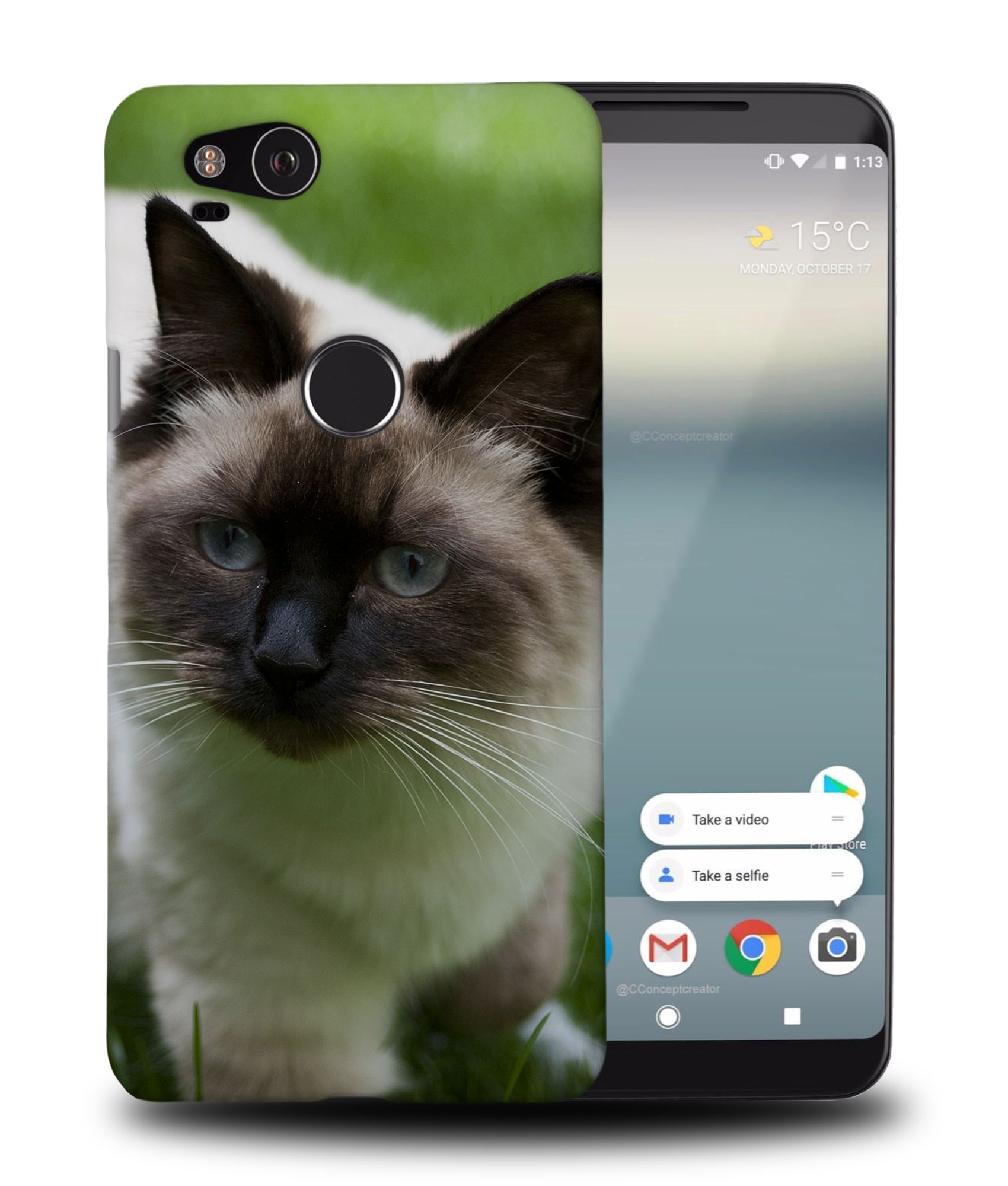 FUNDA FUNDA PARA GOOGLE PIXEL|RAGDOLL CAT 7 - Imagen 9 de 11