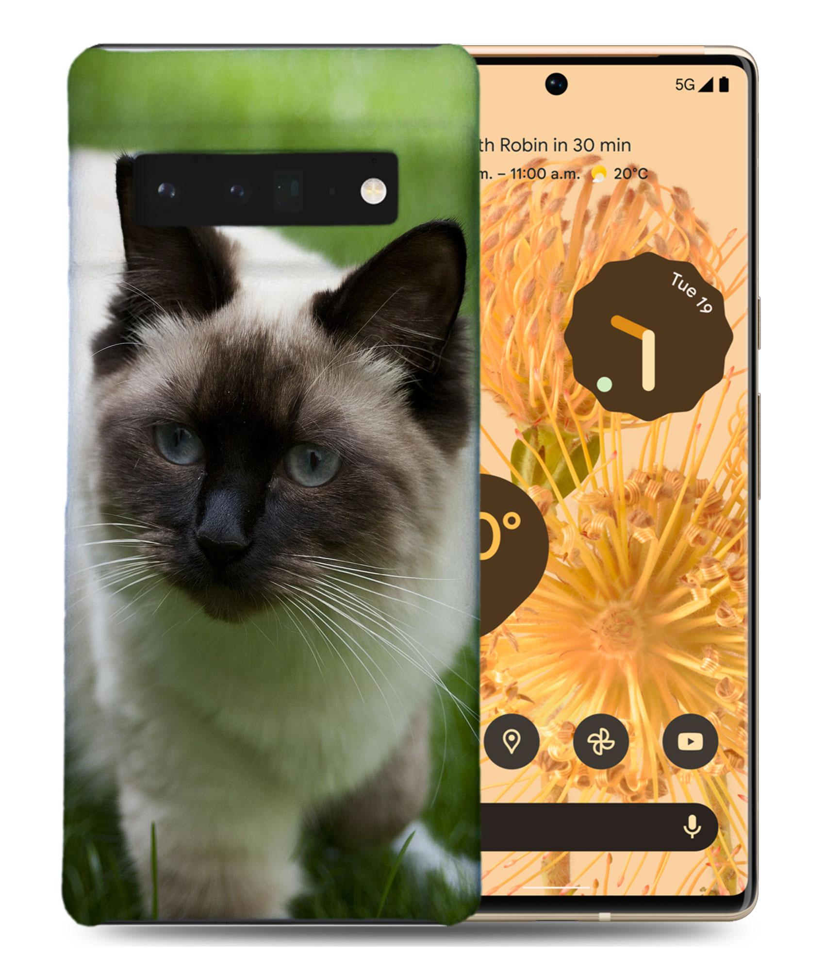 FUNDA FUNDA PARA GOOGLE PIXEL|RAGDOLL CAT 7 - Imagen 2 de 11