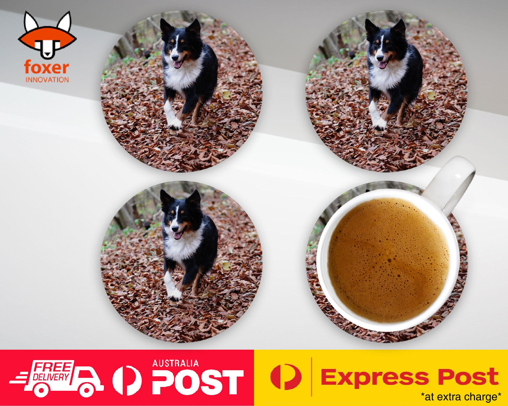 COASTER COFFEE DRINKING MAT|AUSTRALIAN SHEPHERD DOG 2