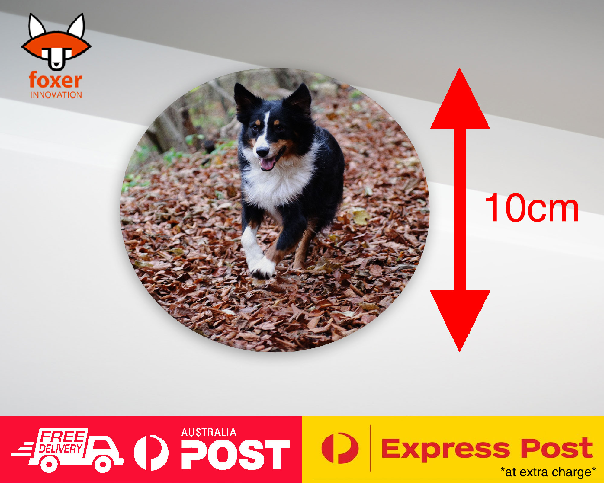 COASTER COFFEE DRINKING MAT|AUSTRALIAN SHEPHERD DOG 2