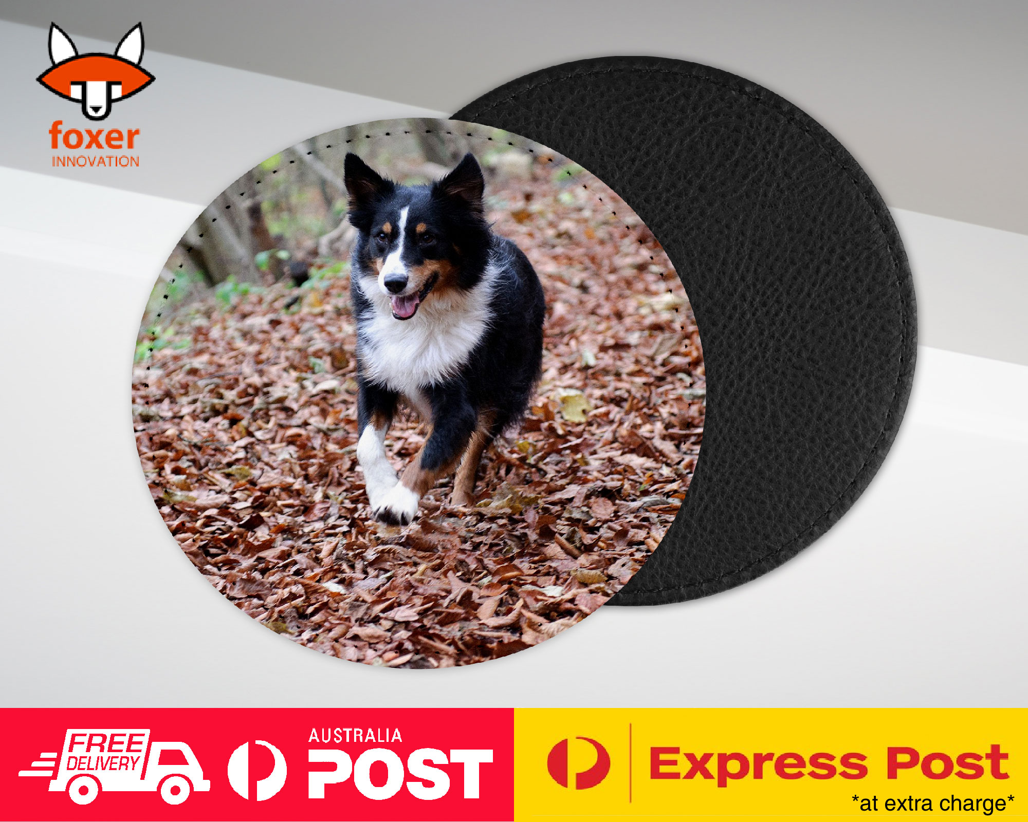 COASTER COFFEE DRINKING MAT|AUSTRALIAN SHEPHERD DOG 2