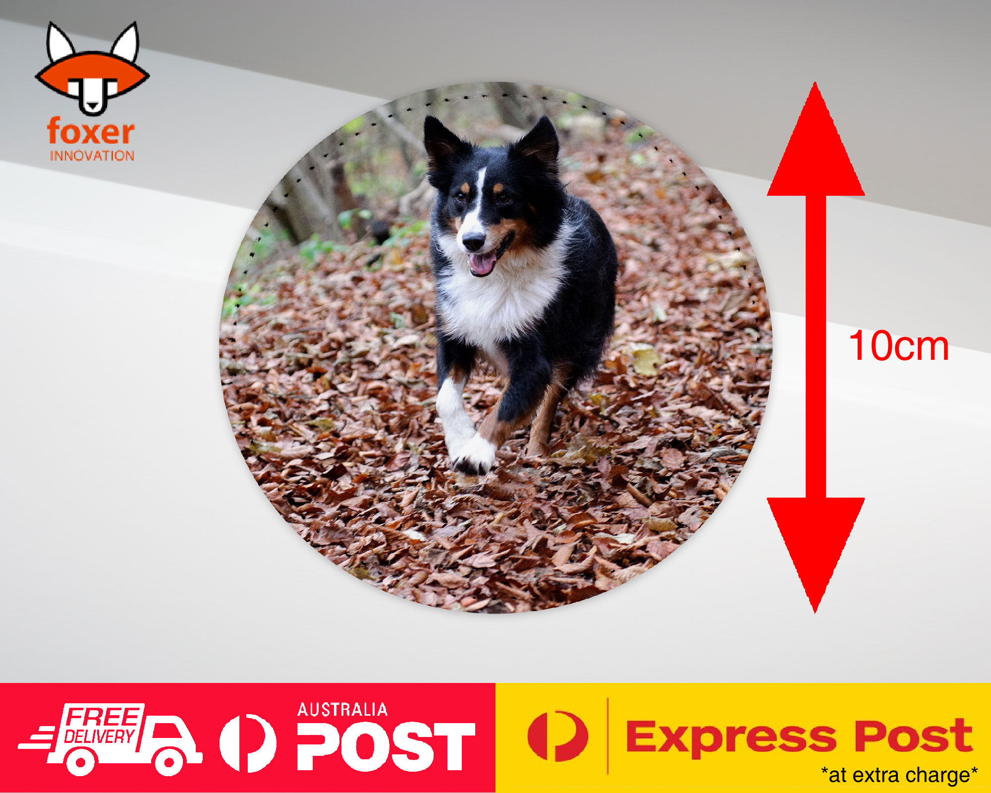 COASTER COFFEE DRINKING MAT|AUSTRALIAN SHEPHERD DOG 2