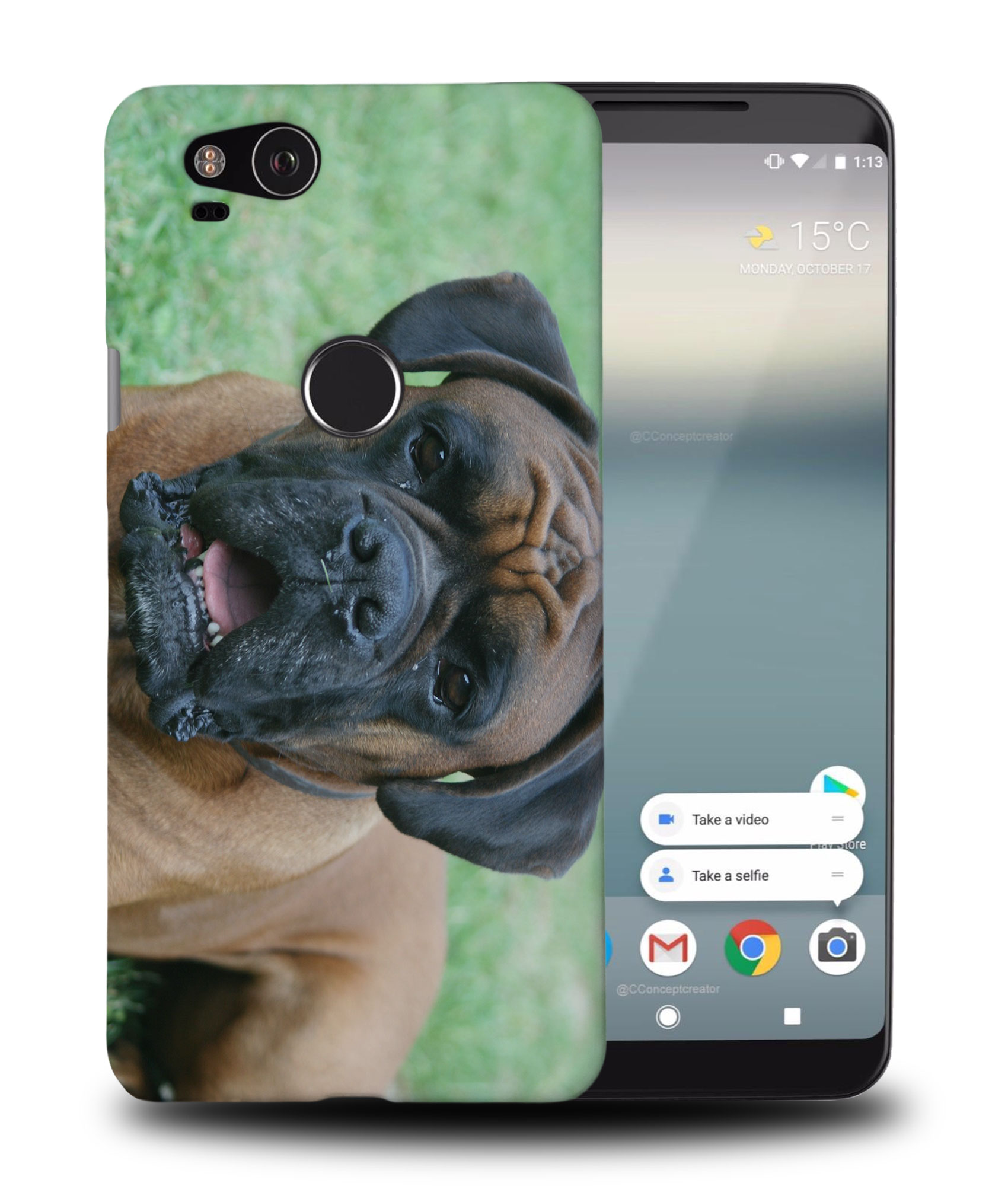 FUNDA FUNDA PARA GOOGLE PIXEL|BOXER DOG 12 - Imagen 9 de 11