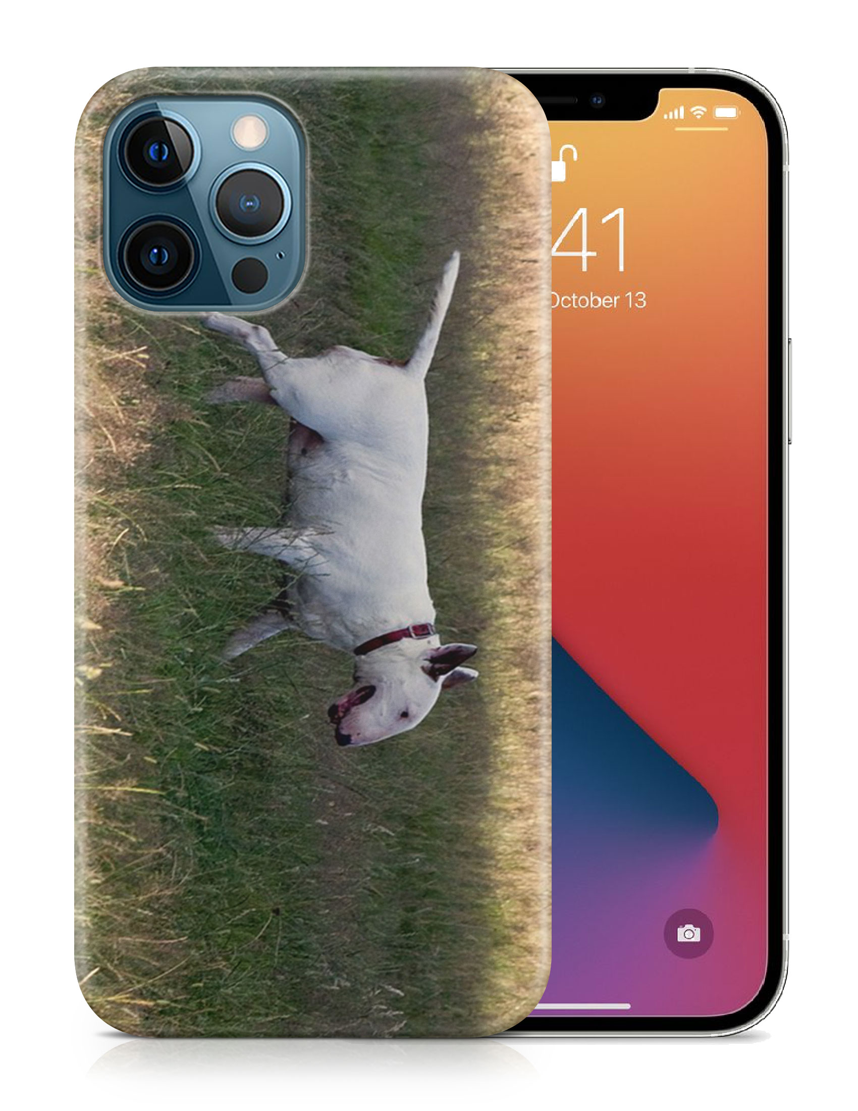 CASE COVER FOR APPLE IPHONE|BULL TERRIER DOG 4 - Foto 19 di 44