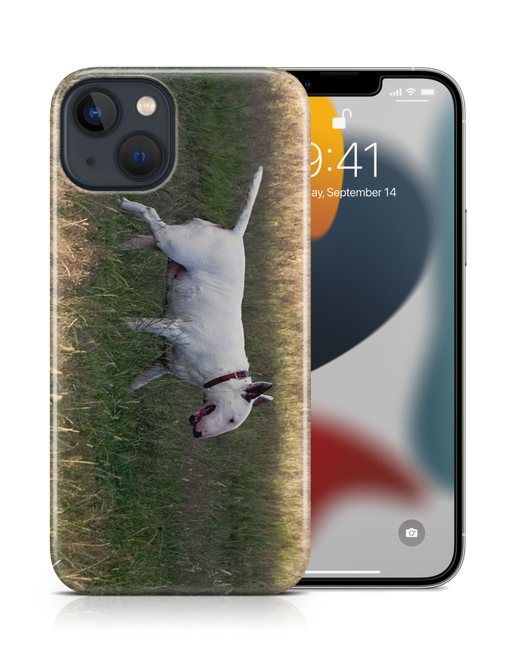 CASE COVER FOR APPLE IPHONE|BULL TERRIER DOG 4 - Foto 16 di 44