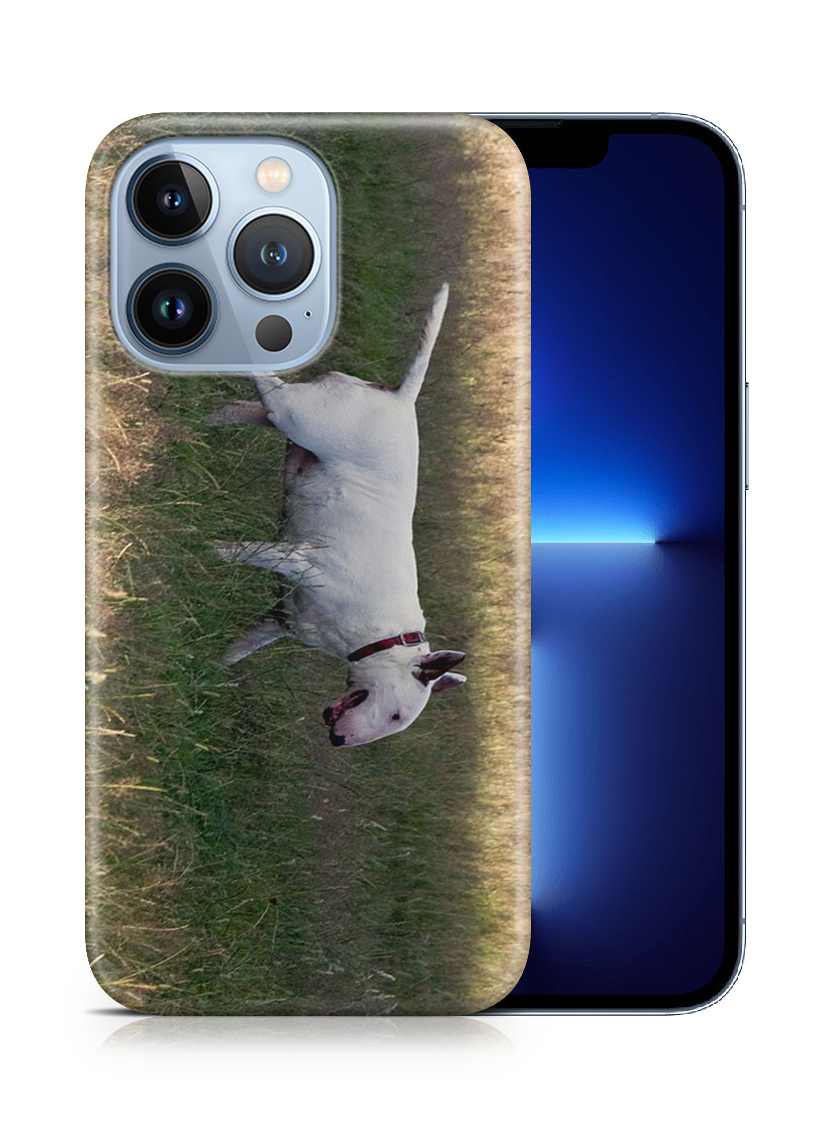 CASE COVER FOR APPLE IPHONE|BULL TERRIER DOG 4 - Foto 15 di 44