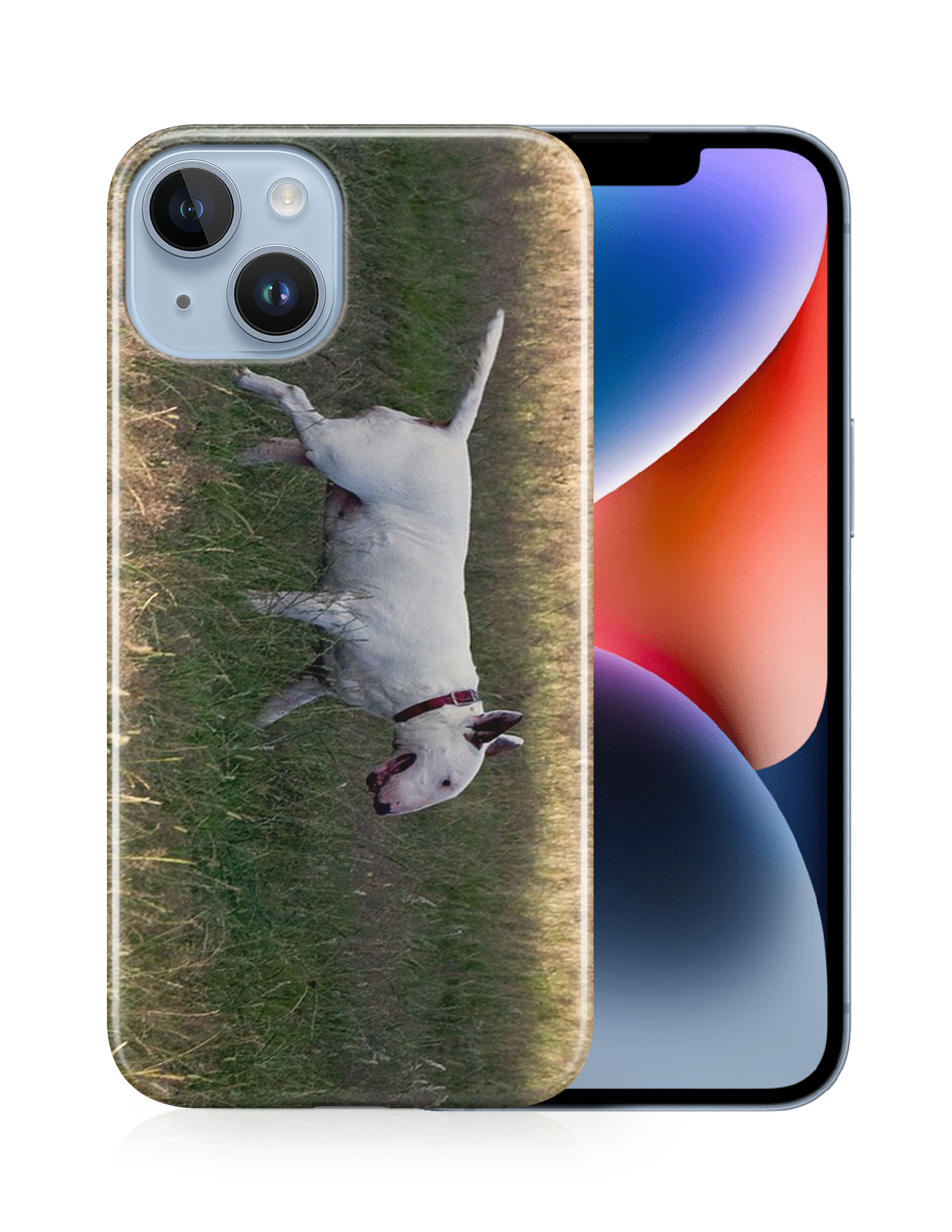 CASE COVER FOR APPLE IPHONE|BULL TERRIER DOG 4 - Foto 13 di 44
