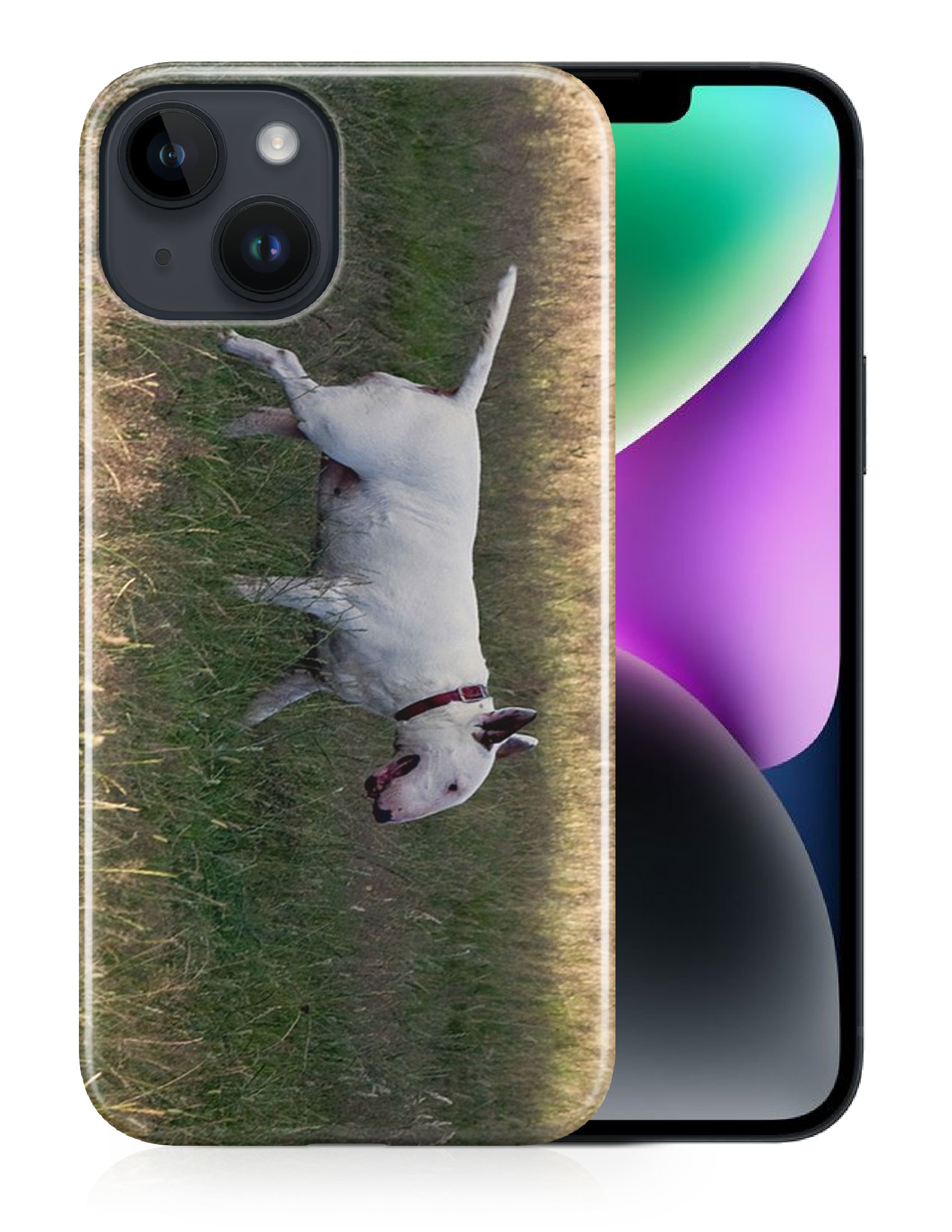 CASE COVER FOR APPLE IPHONE|BULL TERRIER DOG 4 - Foto 12 di 44