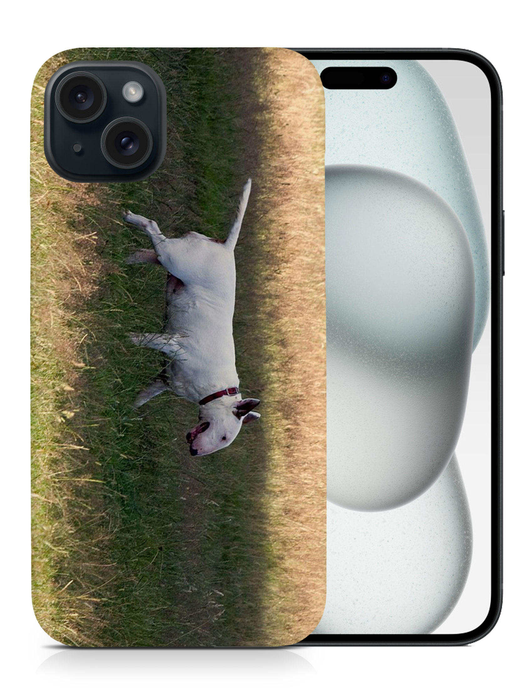 CASE COVER FOR APPLE IPHONE|BULL TERRIER DOG 4 - Foto 8 di 44