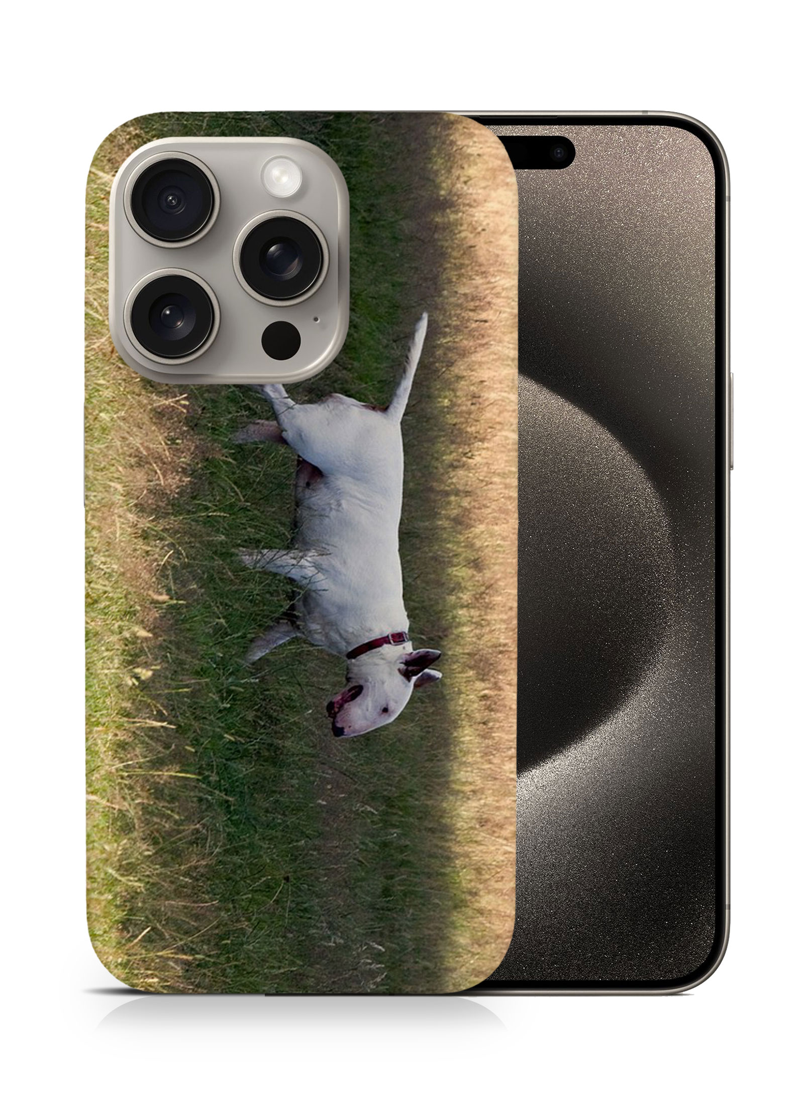 CASE COVER FOR APPLE IPHONE|BULL TERRIER DOG 4 - Foto 7 di 44