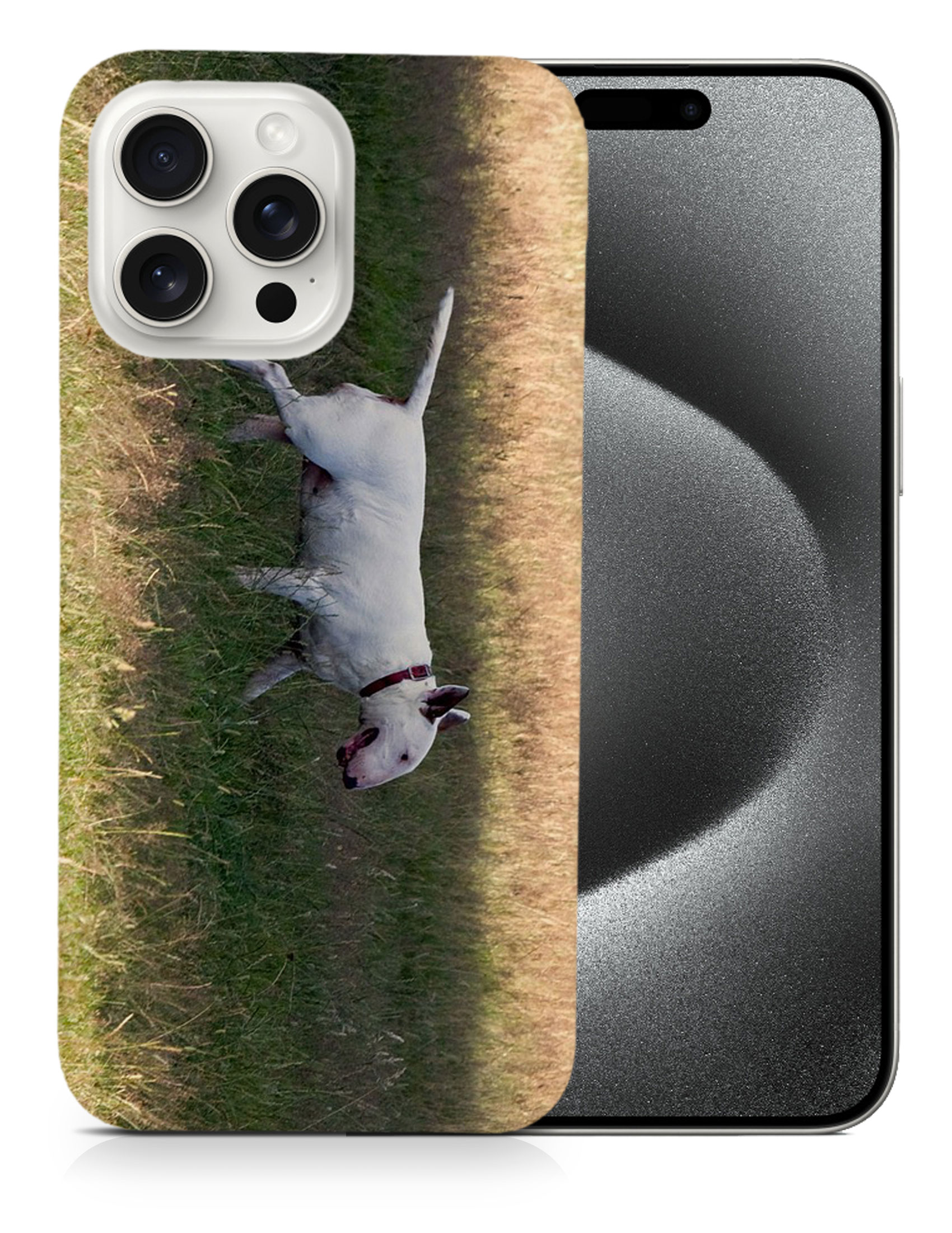 CASE COVER FOR APPLE IPHONE|BULL TERRIER DOG 4 - Foto 6 di 44