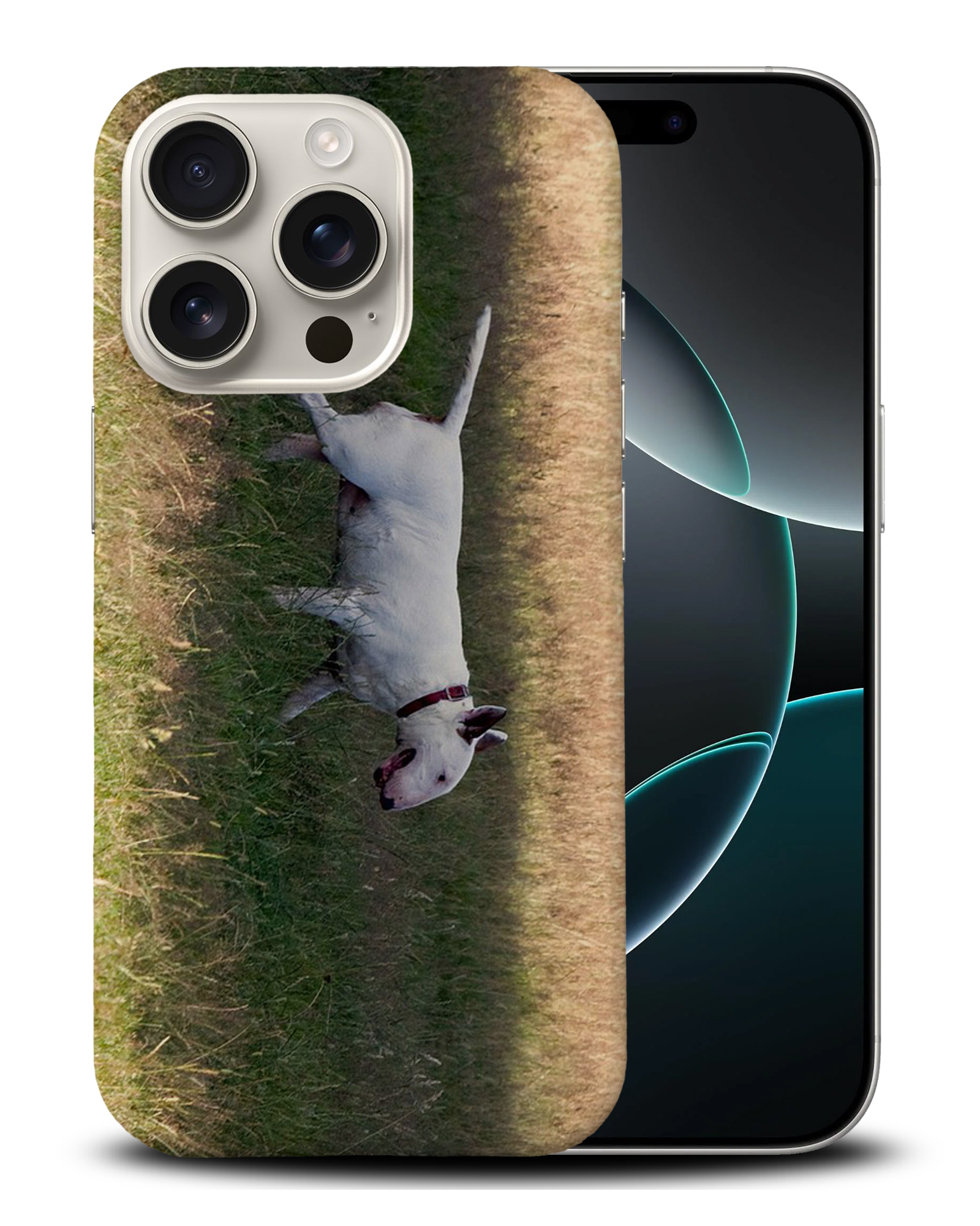 CASE COVER FOR APPLE IPHONE|BULL TERRIER DOG 4 - Foto 3 di 44