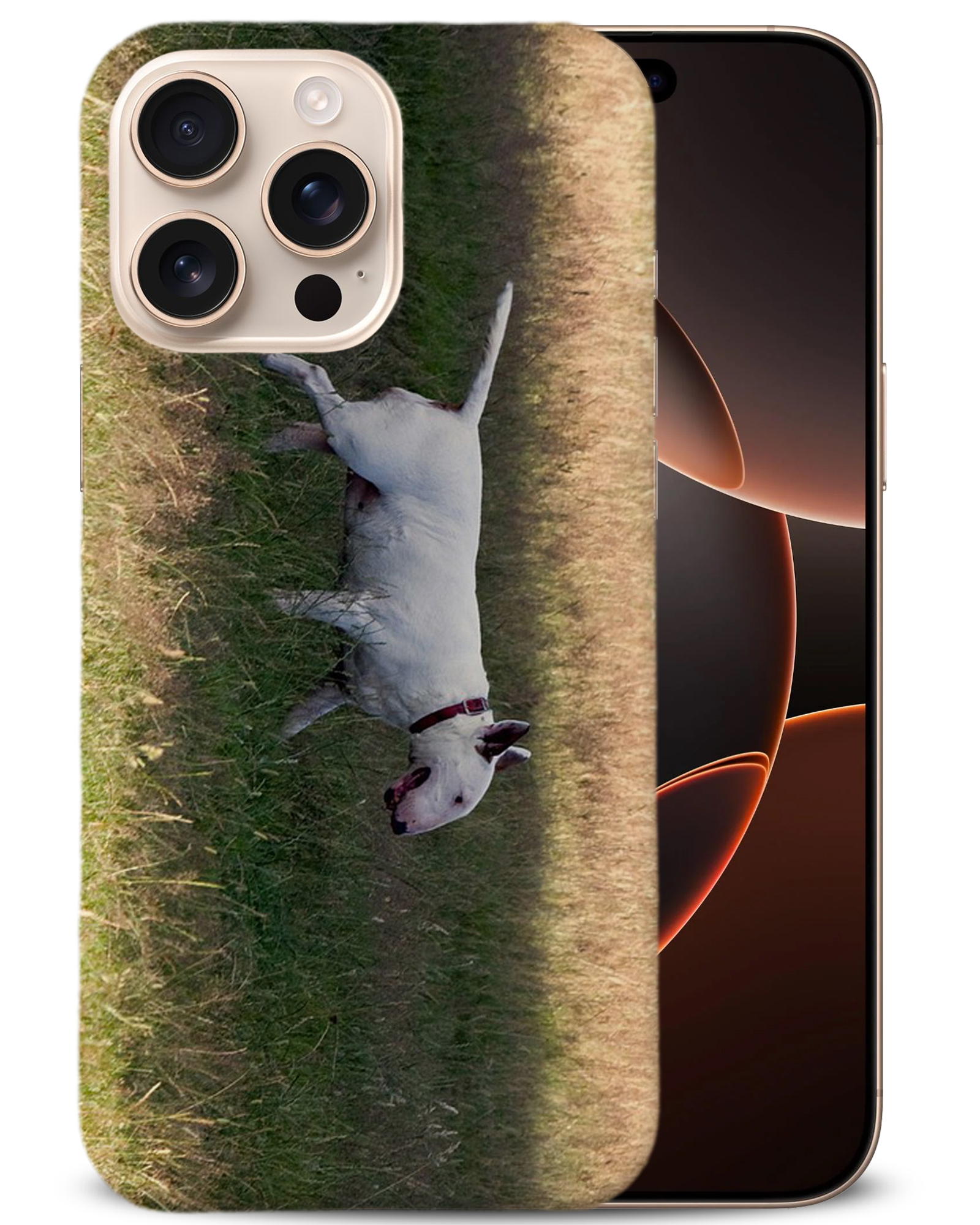 CASE COVER FOR APPLE IPHONE|BULL TERRIER DOG 4 - Foto 2 di 44
