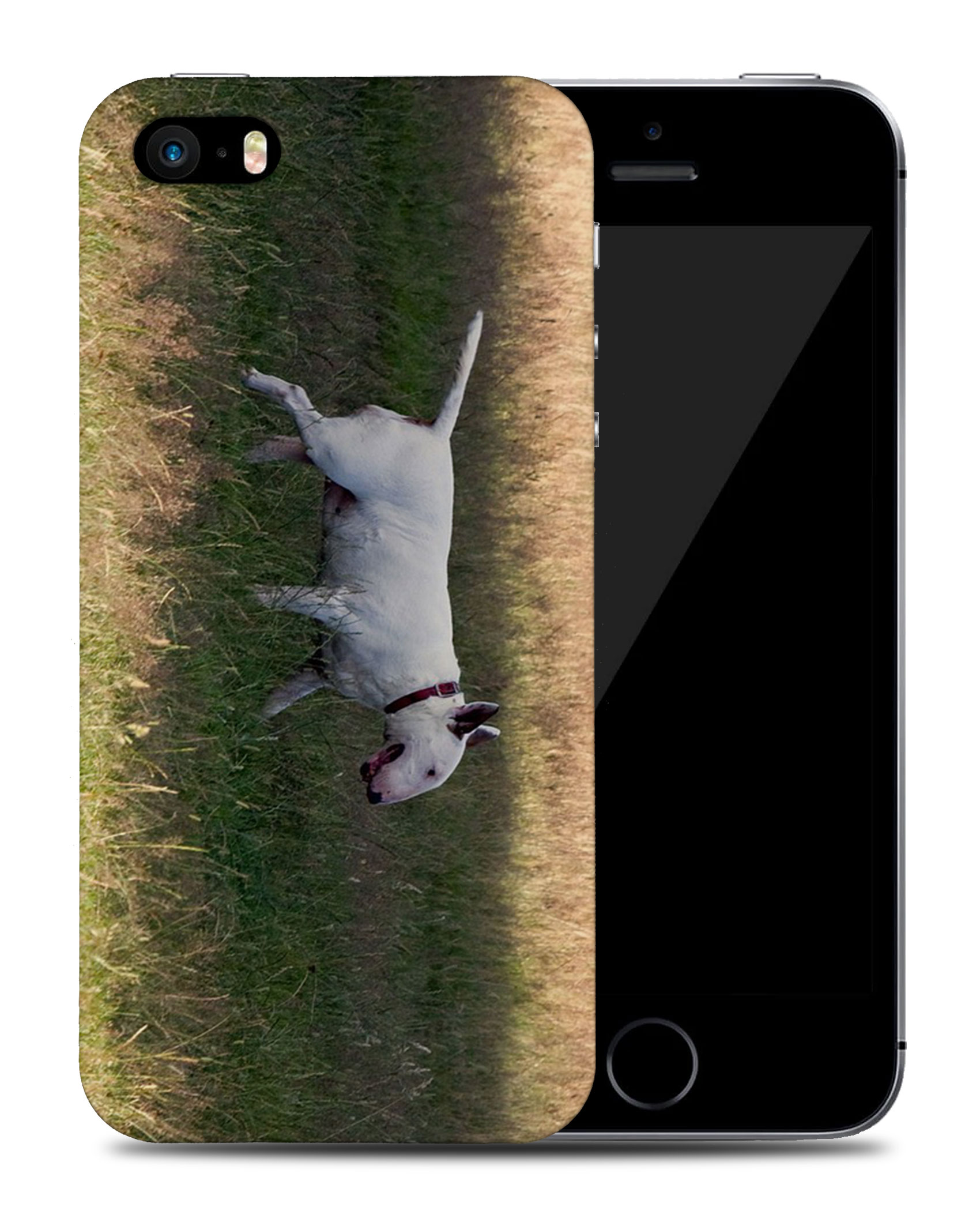 CASE COVER FOR APPLE IPHONE|BULL TERRIER DOG 4 - Foto 38 di 44