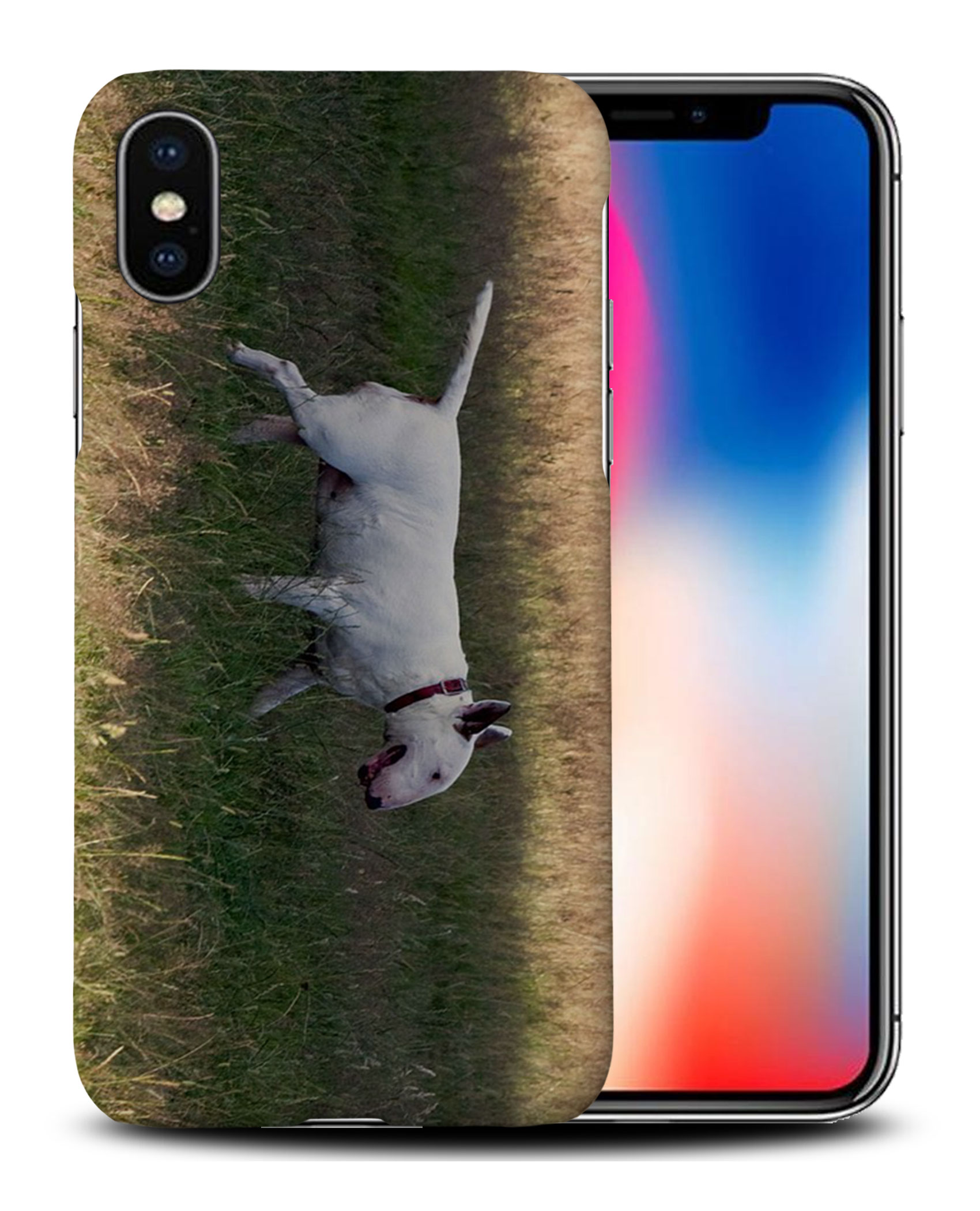 CASE COVER FOR APPLE IPHONE|BULL TERRIER DOG 4 - Foto 26 di 44