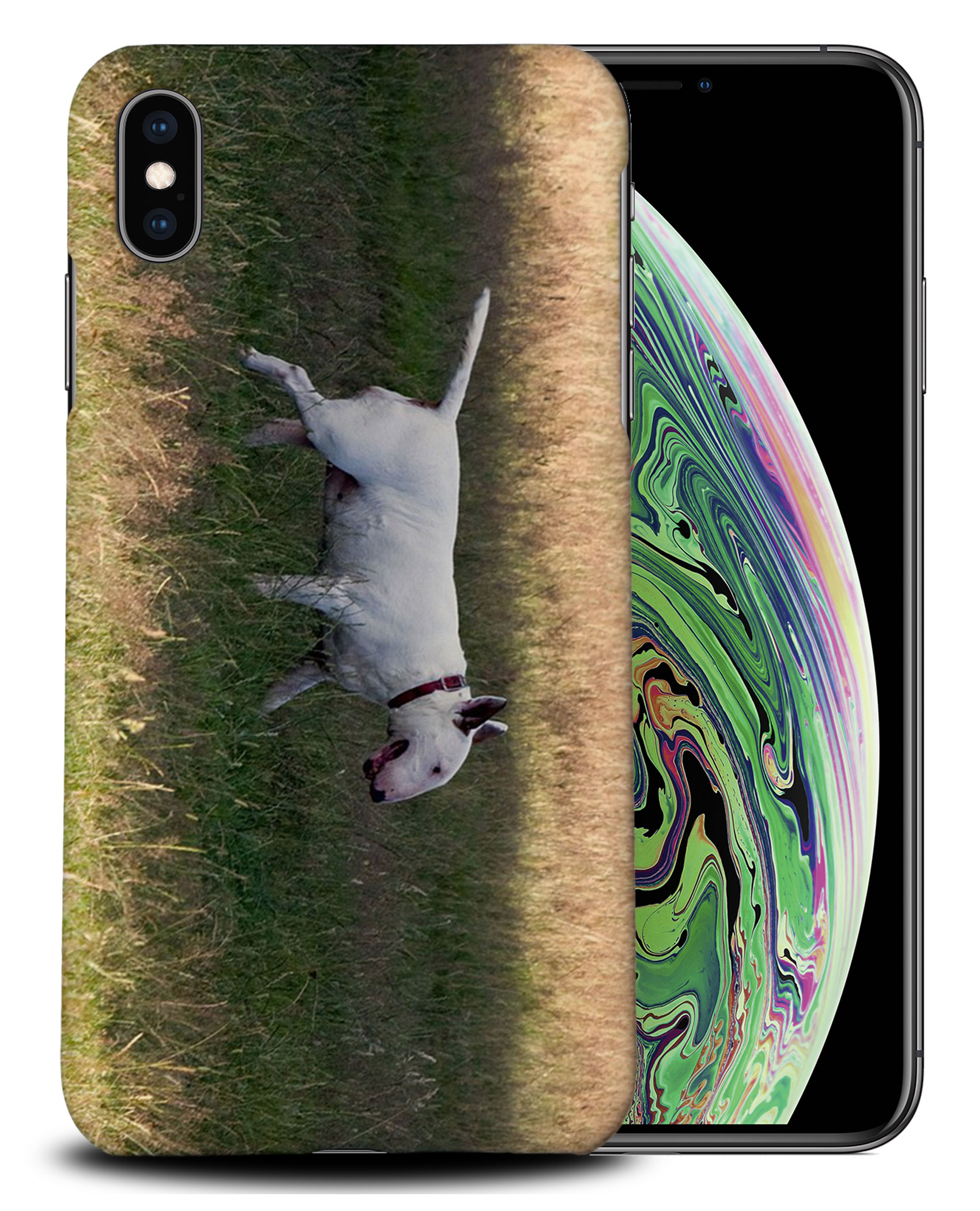 CASE COVER FOR APPLE IPHONE|BULL TERRIER DOG 4 - Foto 25 di 44