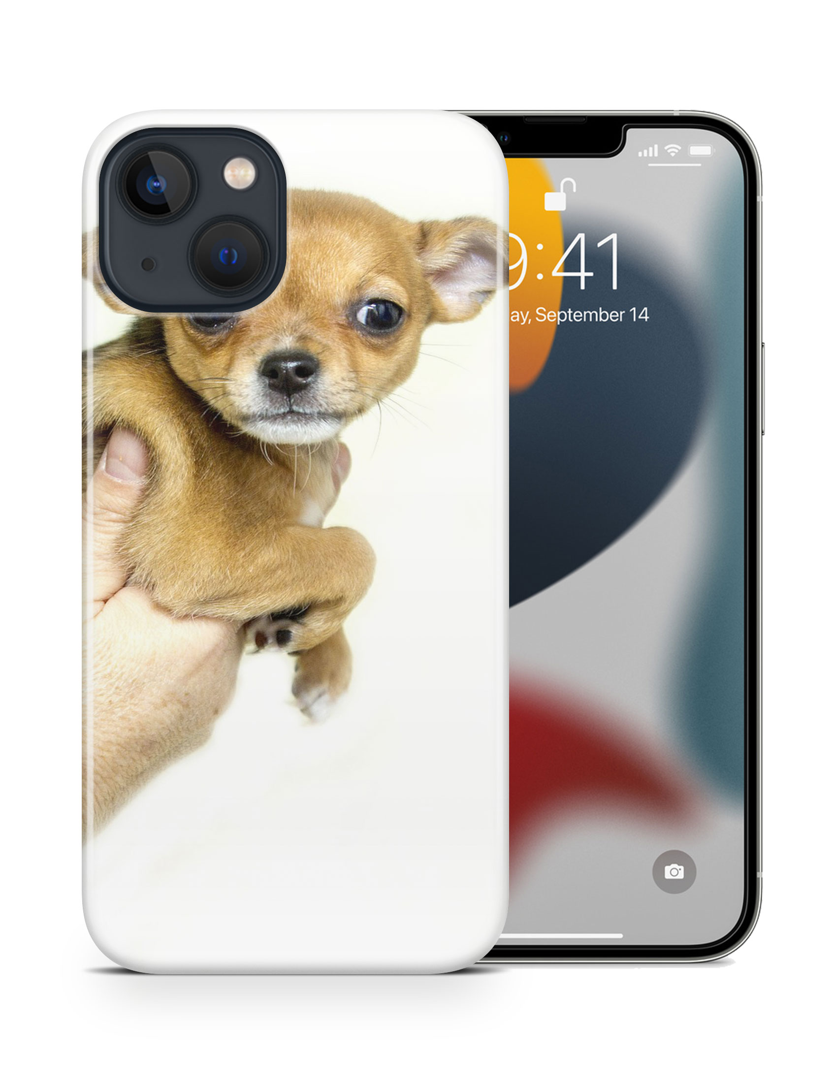 CASE COVER FOR APPLE IPHONE|CHIHUAHUA DOG 8 - Foto 16 di 44
