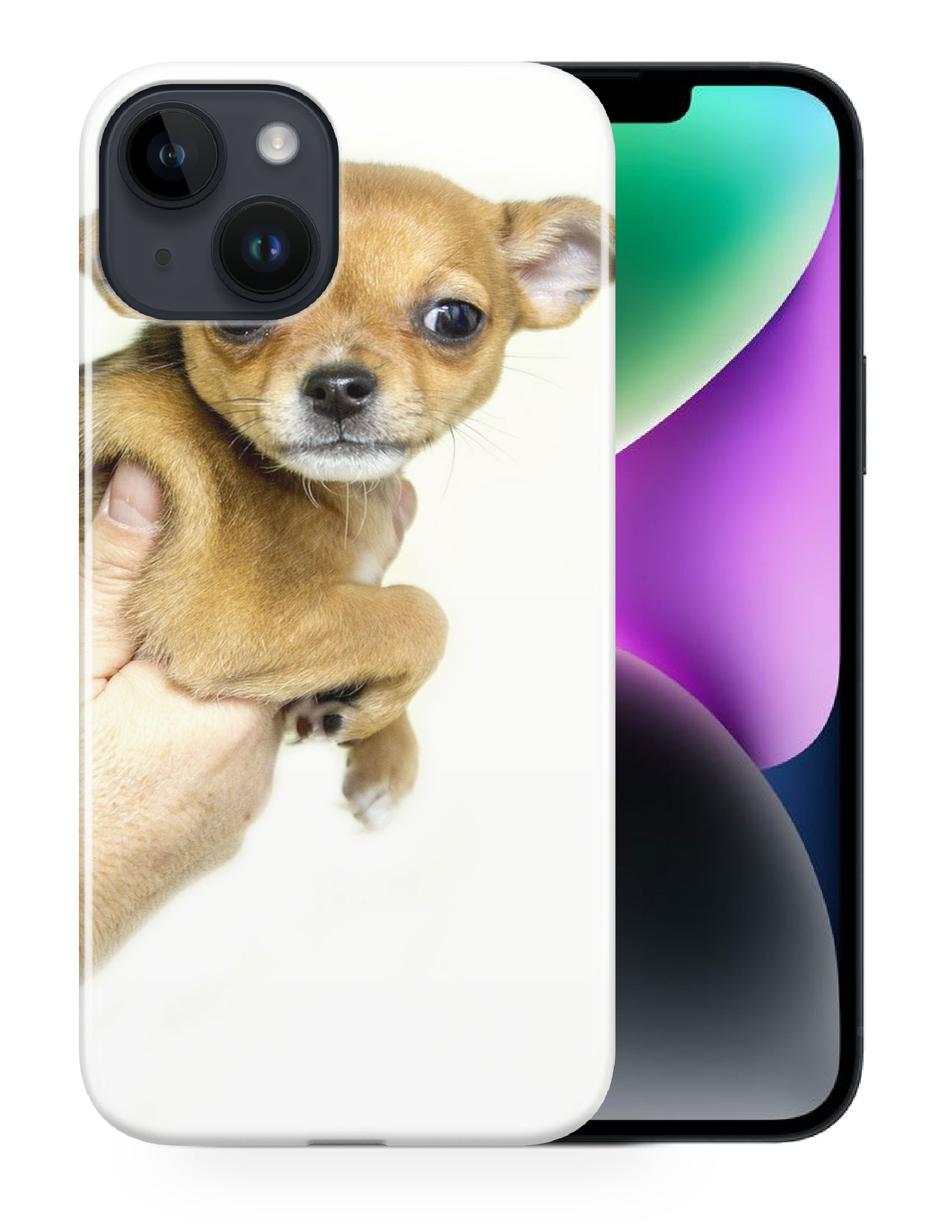 CASE COVER FOR APPLE IPHONE|CHIHUAHUA DOG 8 - Foto 12 di 44