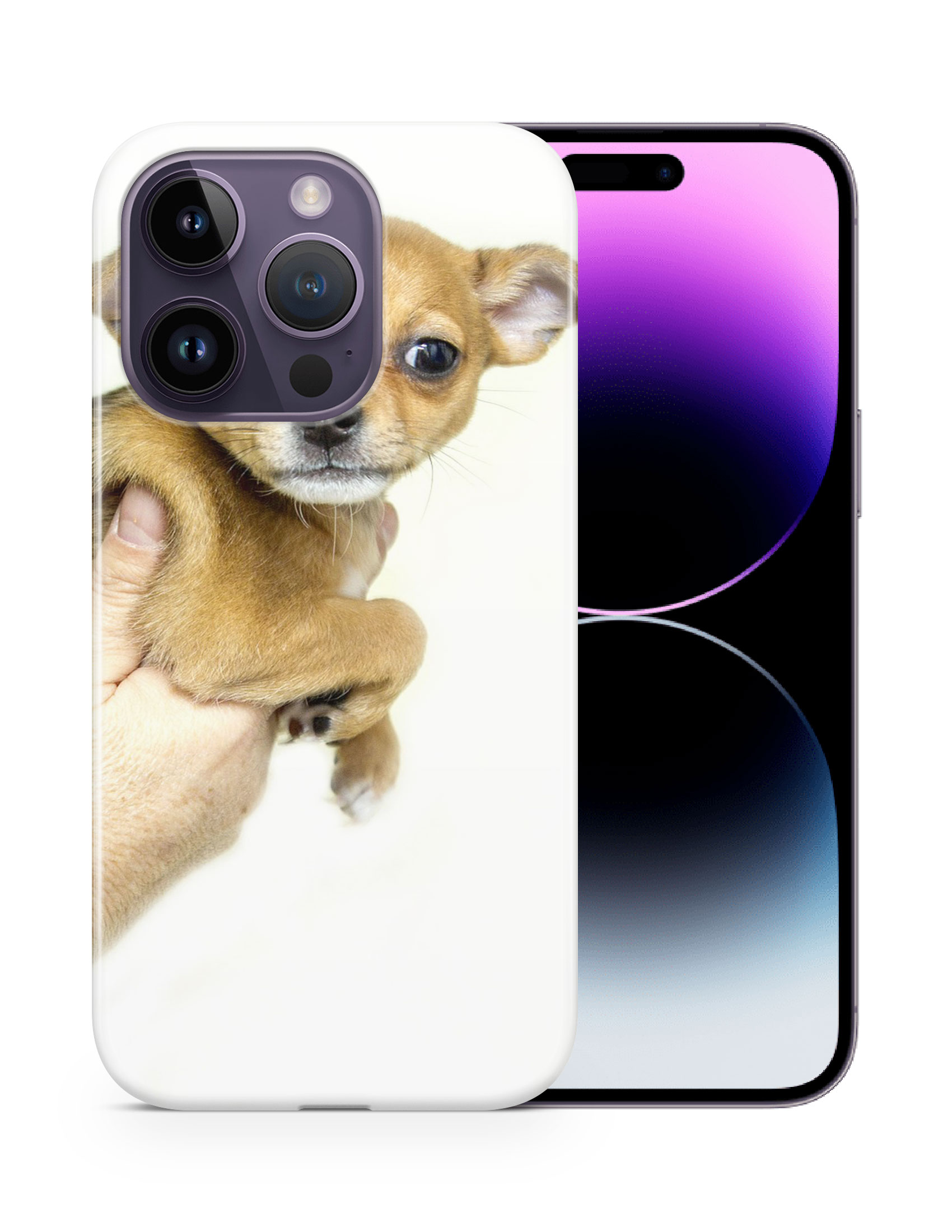 CASE COVER FOR APPLE IPHONE|CHIHUAHUA DOG 8 - Foto 11 di 44