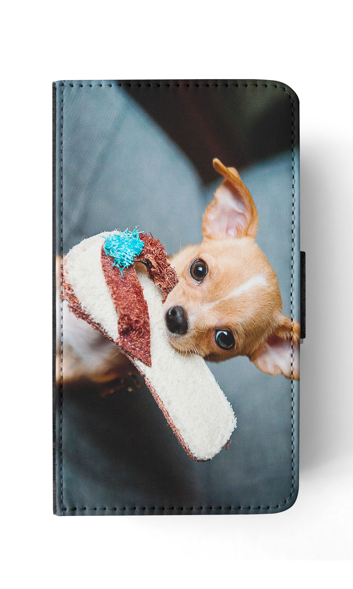FLIP CASE FOR APPLE IPHONE|CHIHUAHUA DOG 16 - Picture 170 of 193