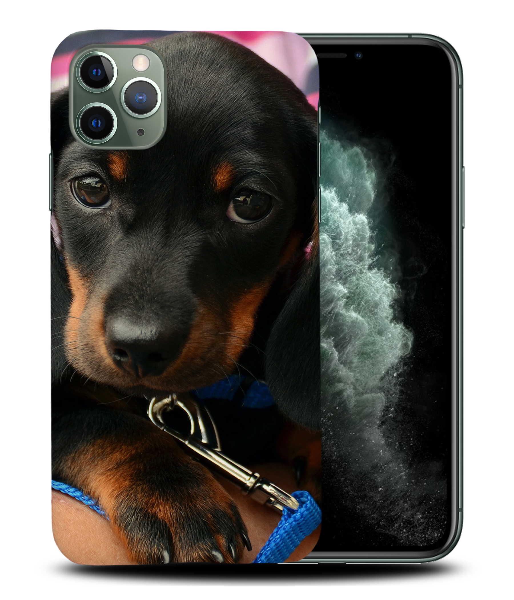CASE COVER FOR APPLE IPHONE|DACHSHUND DOG 3 - Picture 23 of 44