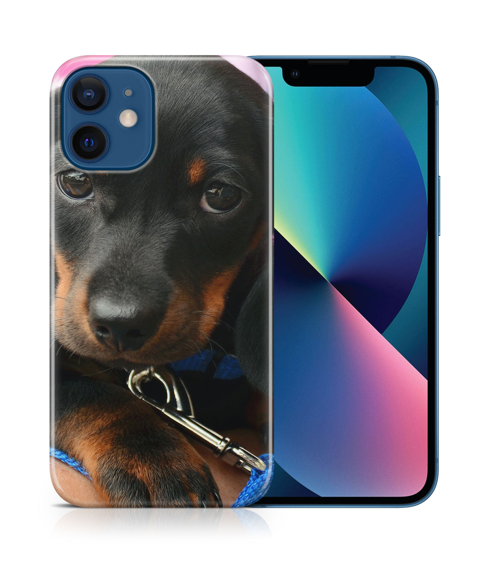 CASE COVER FOR APPLE IPHONE|DACHSHUND DOG 3 - Picture 17 of 44