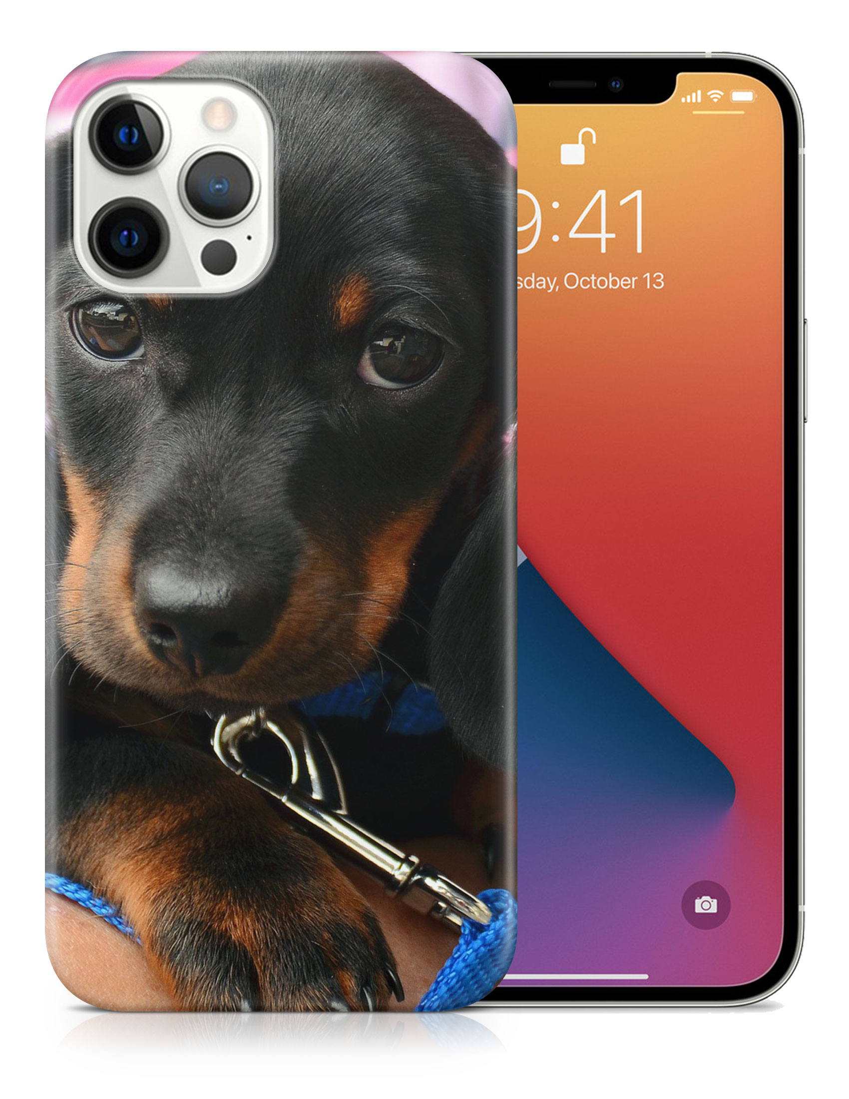 CASE COVER FOR APPLE IPHONE|DACHSHUND DOG 3 - Picture 18 of 44