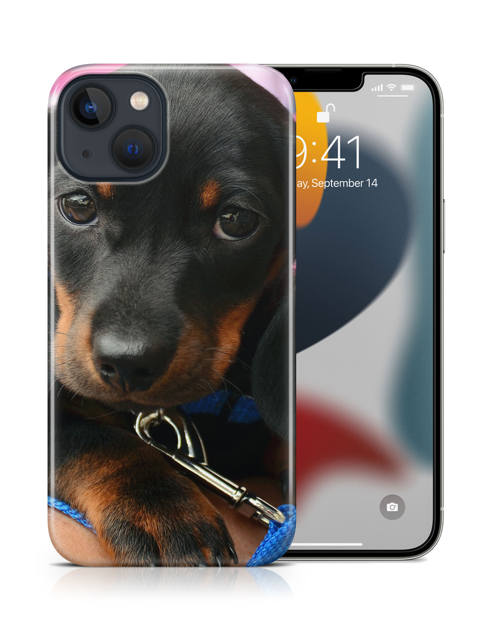 CASE COVER FOR APPLE IPHONE|DACHSHUND DOG 3 - Picture 16 of 44