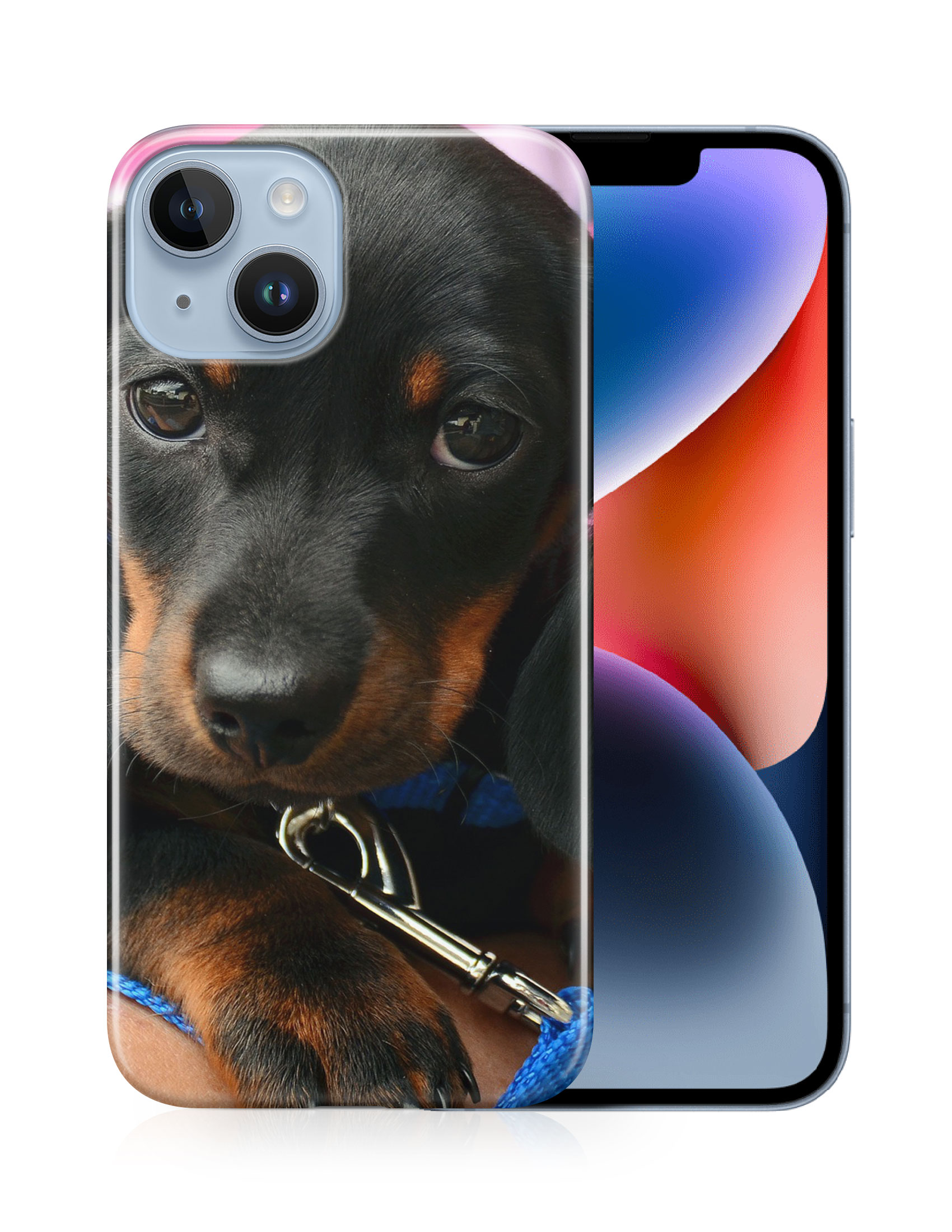 CASE COVER FOR APPLE IPHONE|DACHSHUND DOG 3 - Picture 13 of 44