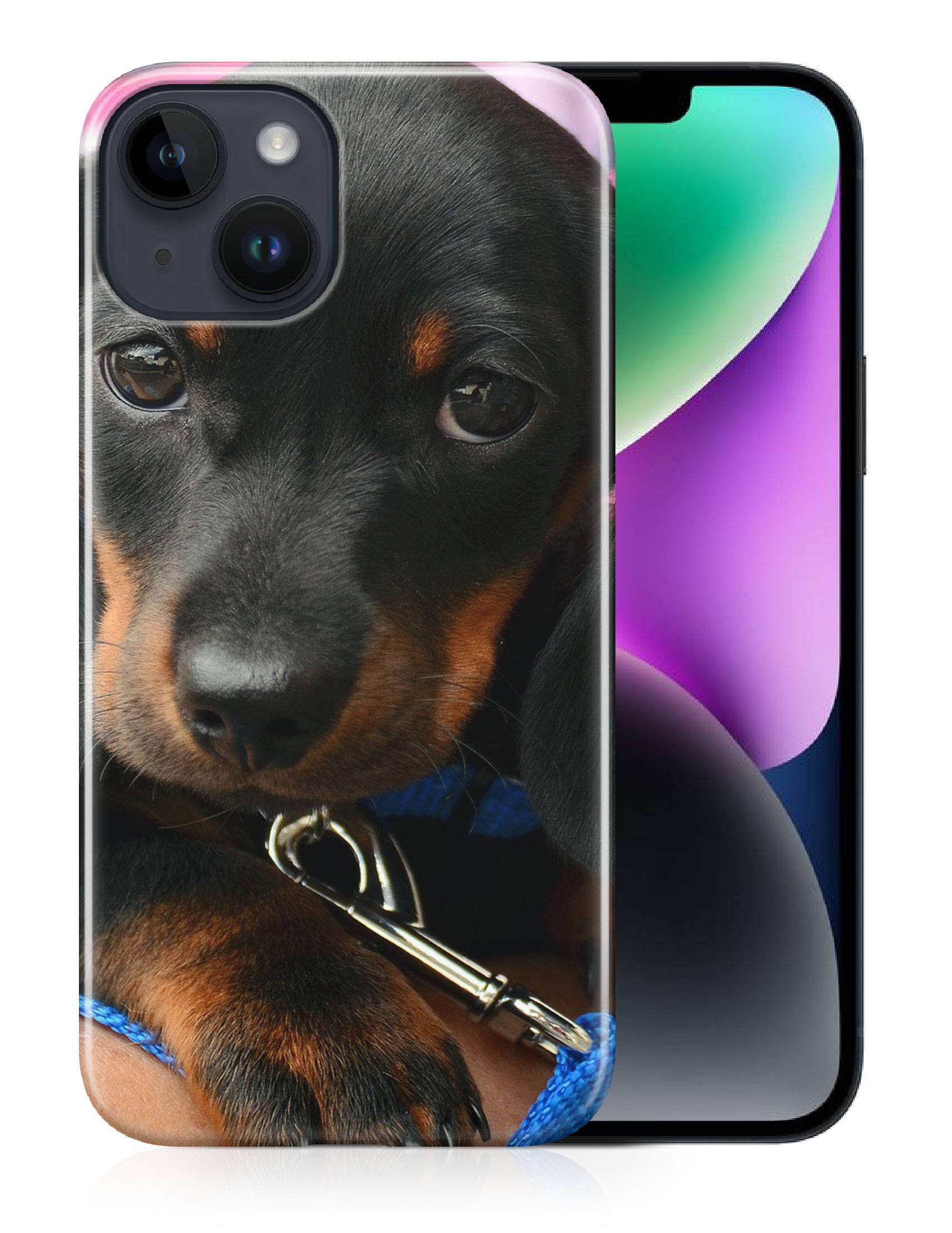 CASE COVER FOR APPLE IPHONE|DACHSHUND DOG 3 - Picture 12 of 44