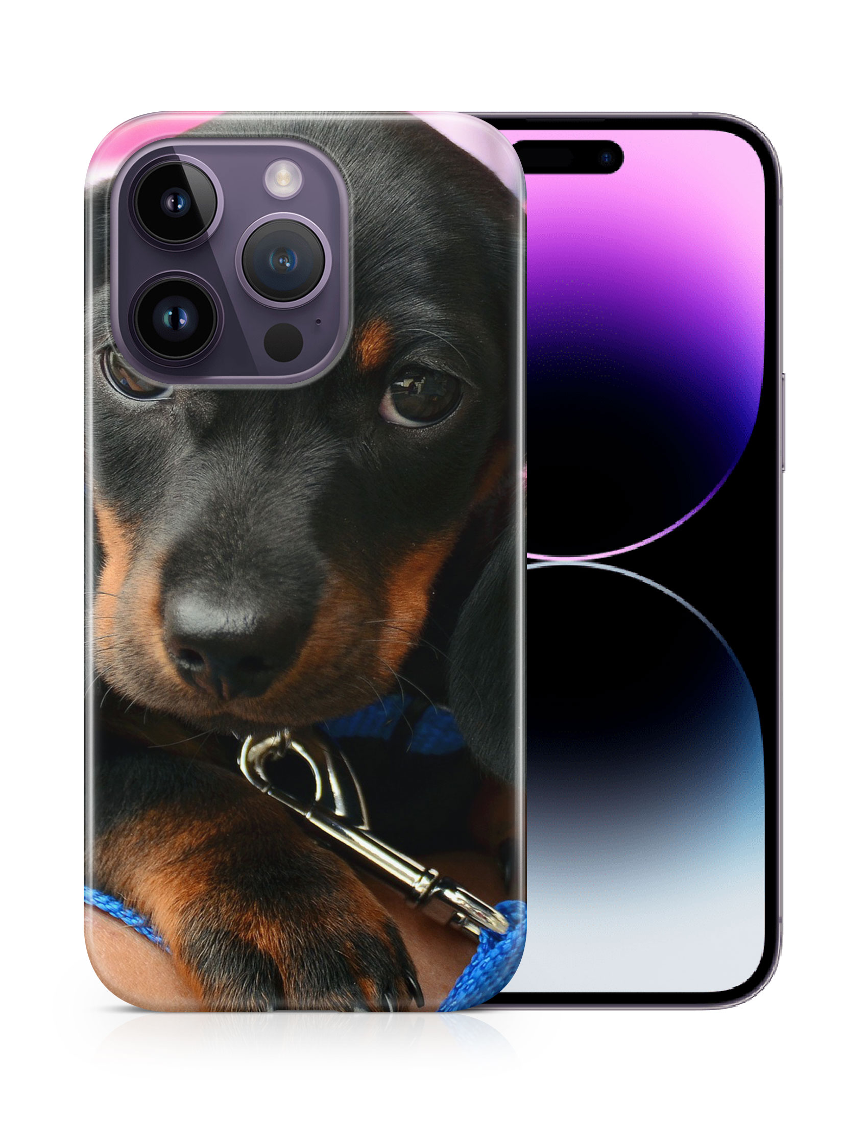 CASE COVER FOR APPLE IPHONE|DACHSHUND DOG 3 - Picture 11 of 44