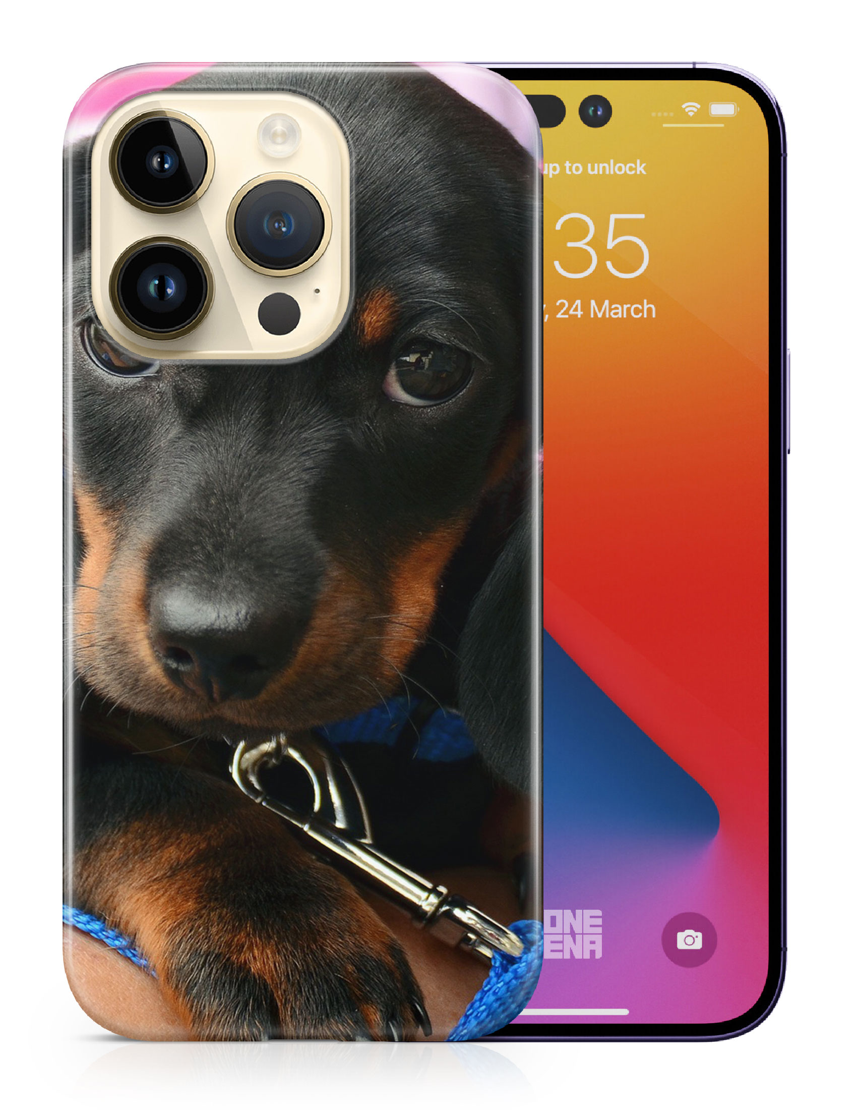 CASE COVER FOR APPLE IPHONE|DACHSHUND DOG 3 - Picture 10 of 44