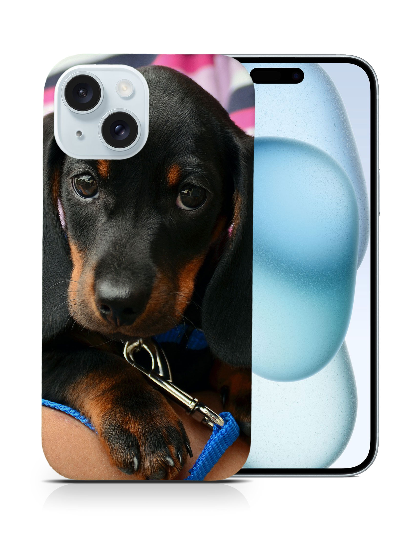 CASE COVER FOR APPLE IPHONE|DACHSHUND DOG 3 - Picture 9 of 44