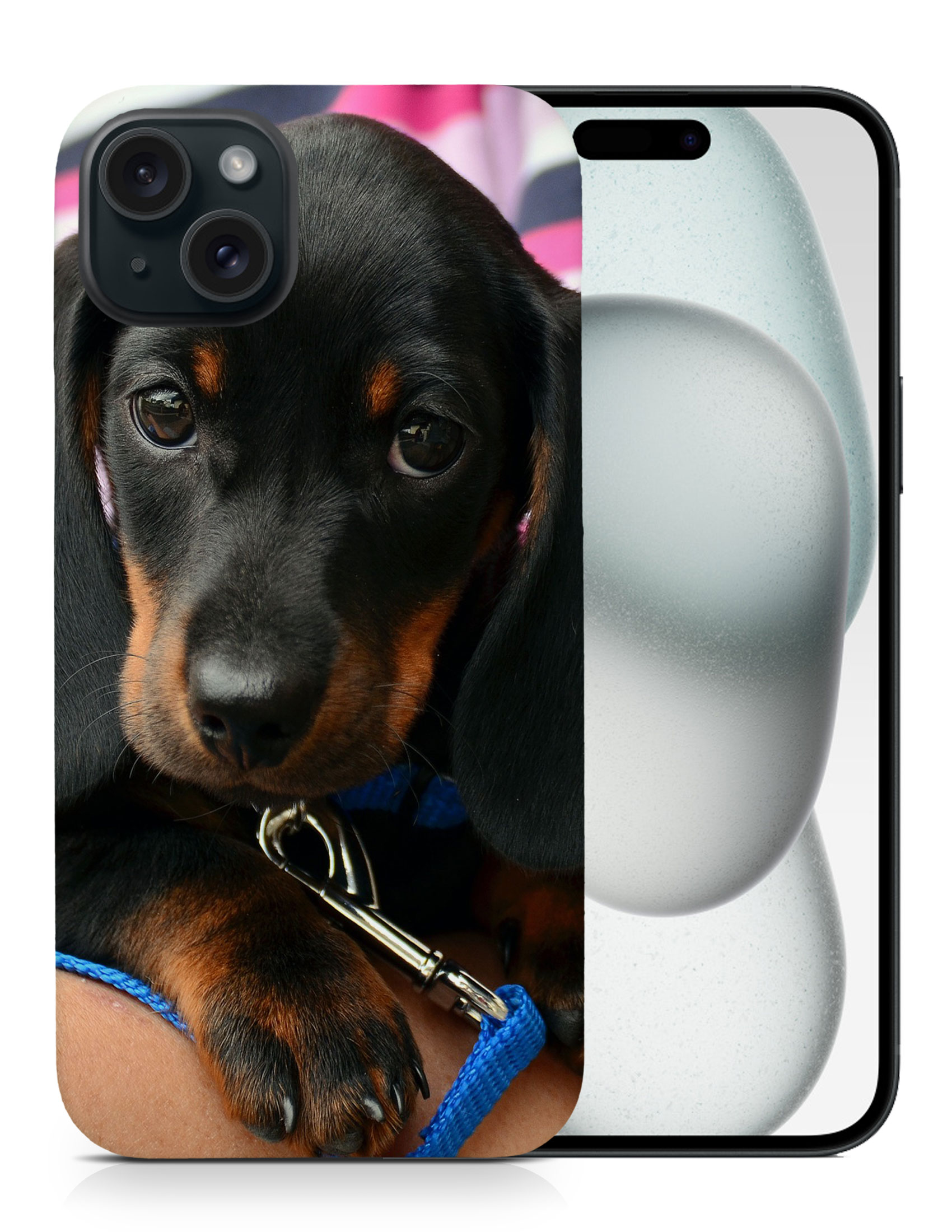 CASE COVER FOR APPLE IPHONE|DACHSHUND DOG 3 - Picture 8 of 44