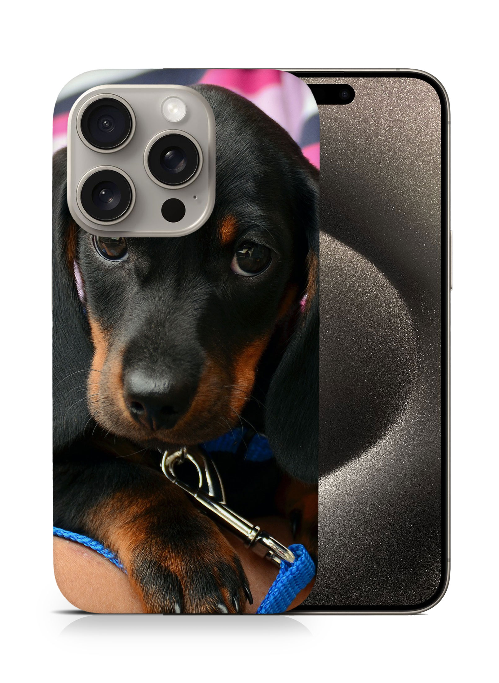 CASE COVER FOR APPLE IPHONE|DACHSHUND DOG 3 - Picture 7 of 44