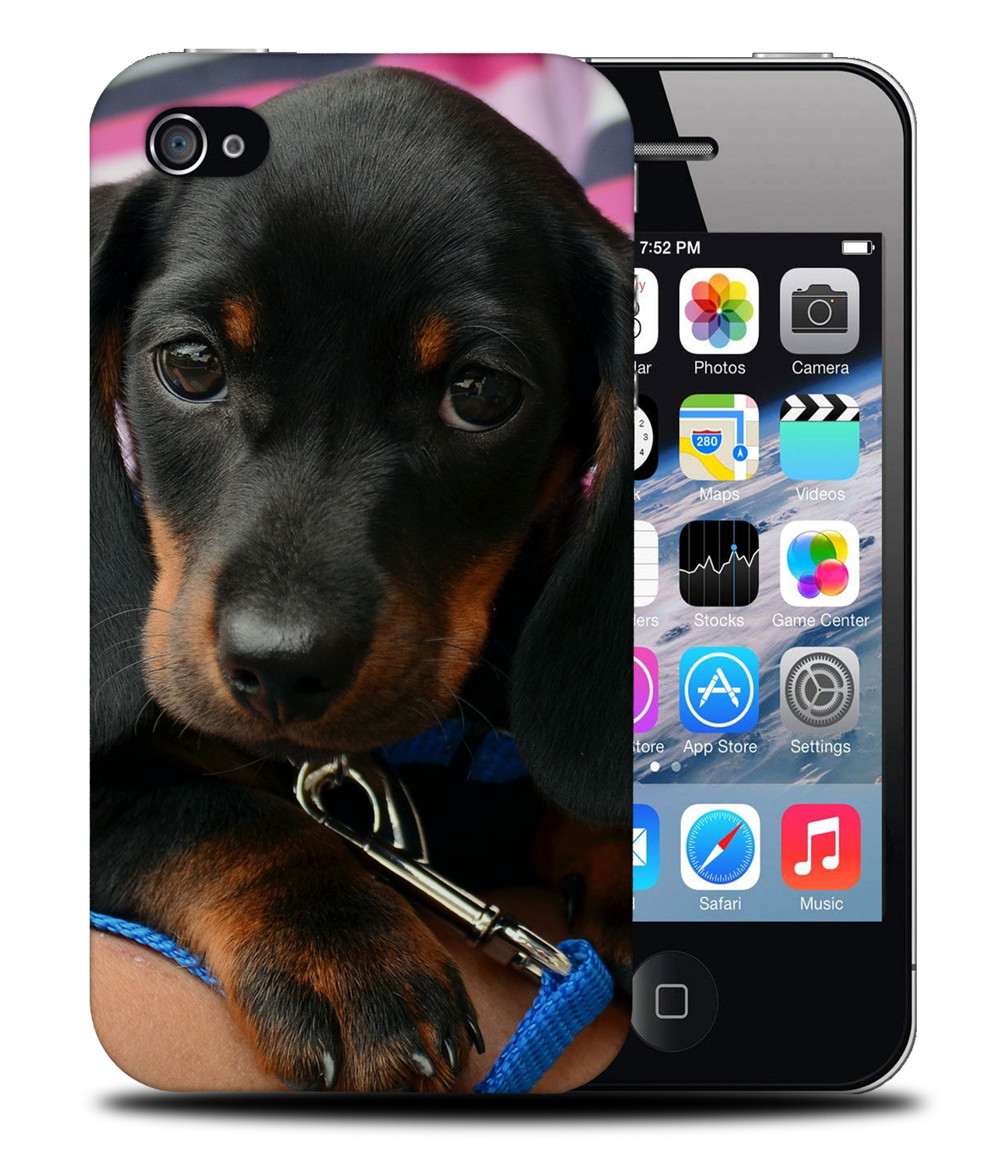 CASE COVER FOR APPLE IPHONE|DACHSHUND DOG 3 - Picture 40 of 44