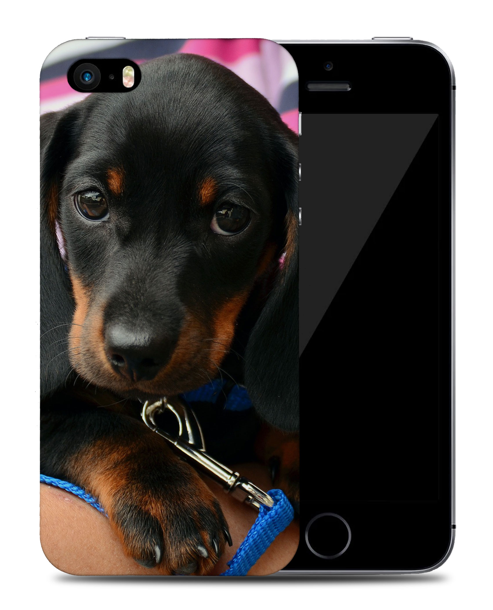 CASE COVER FOR APPLE IPHONE|DACHSHUND DOG 3 - Picture 38 of 44