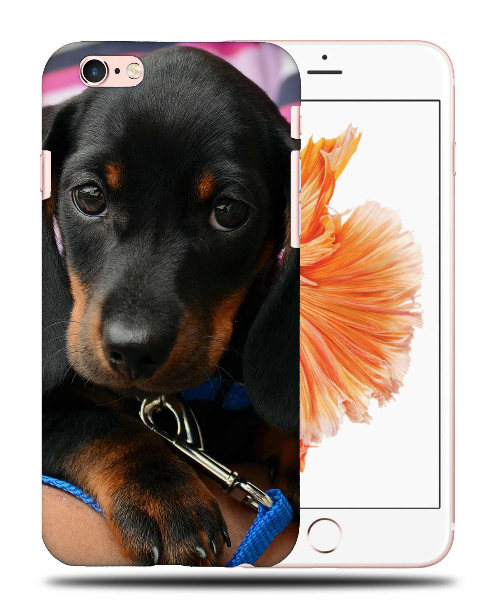 CASE COVER FOR APPLE IPHONE|DACHSHUND DOG 3 - Picture 35 of 44