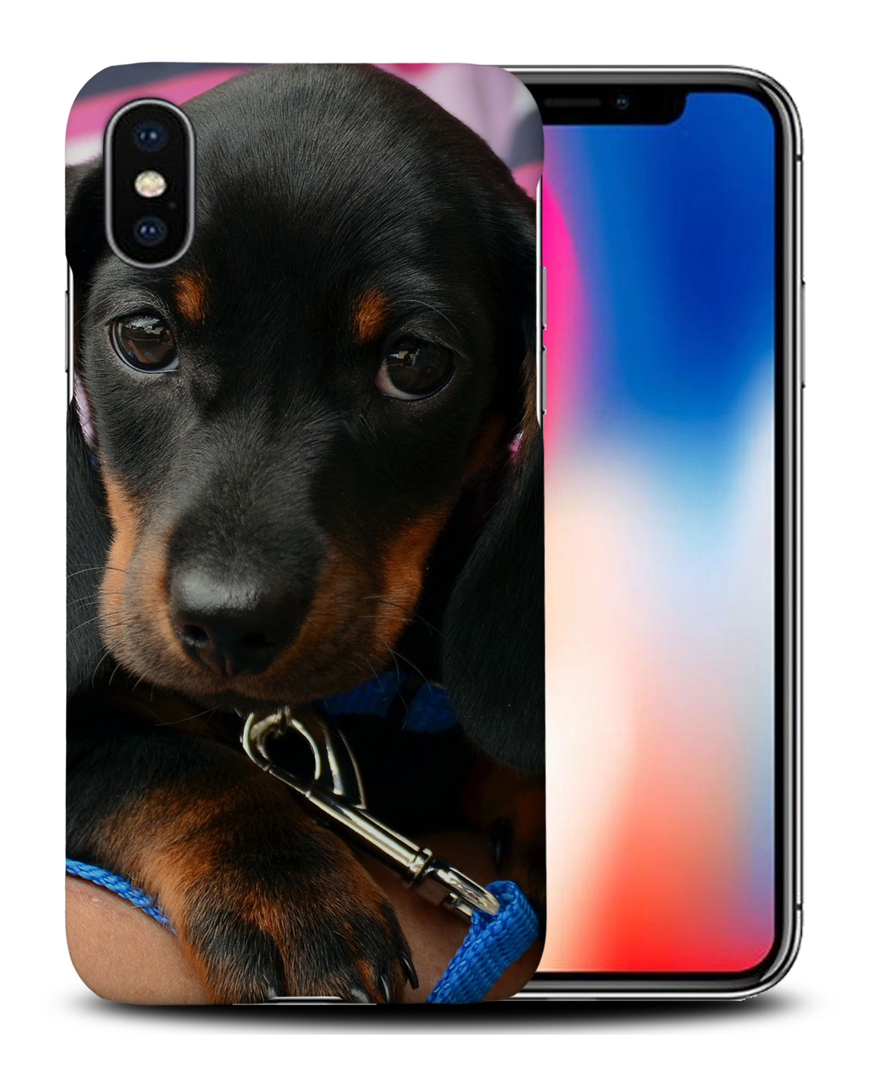 CASE COVER FOR APPLE IPHONE|DACHSHUND DOG 3 - Picture 26 of 44