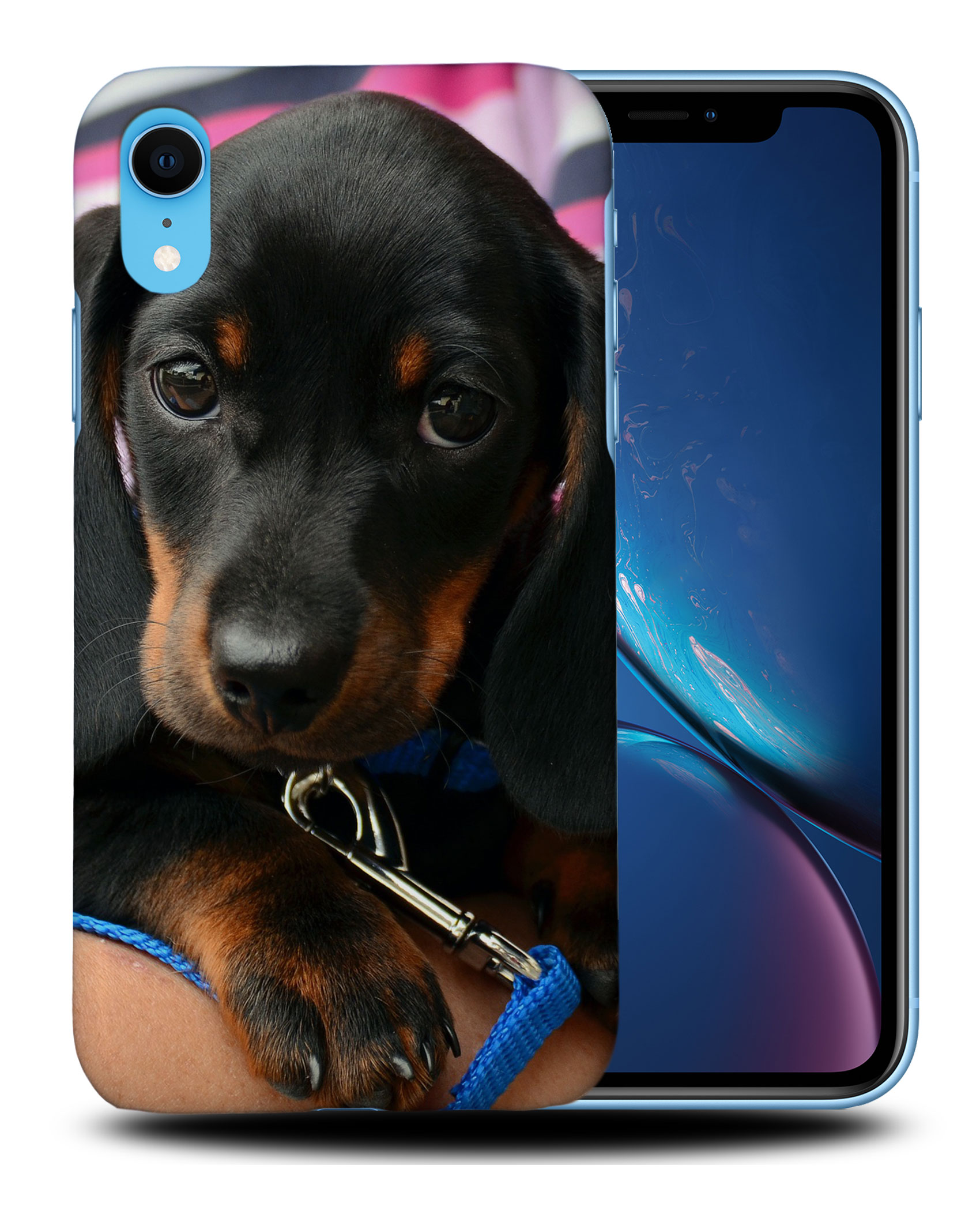 CASE COVER FOR APPLE IPHONE|DACHSHUND DOG 3 - Picture 27 of 44
