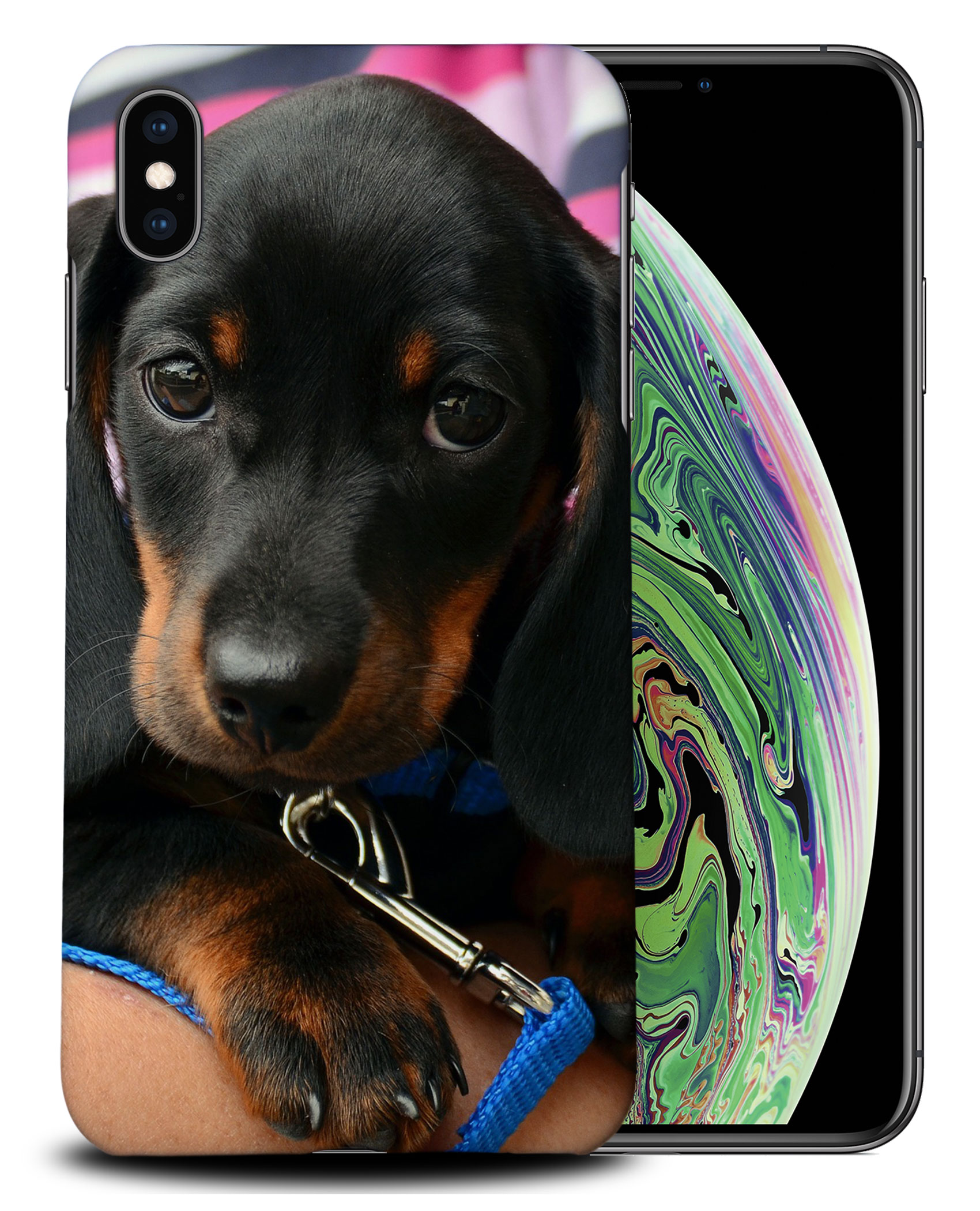 CASE COVER FOR APPLE IPHONE|DACHSHUND DOG 3 - Picture 25 of 44